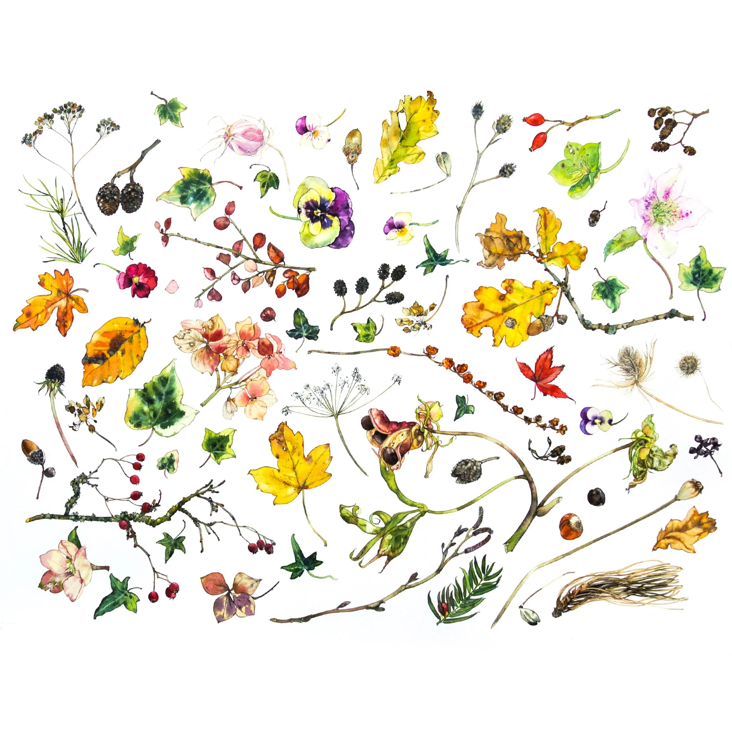 Nature Table Watercolour 82 x 68 cm (framed) SOLD