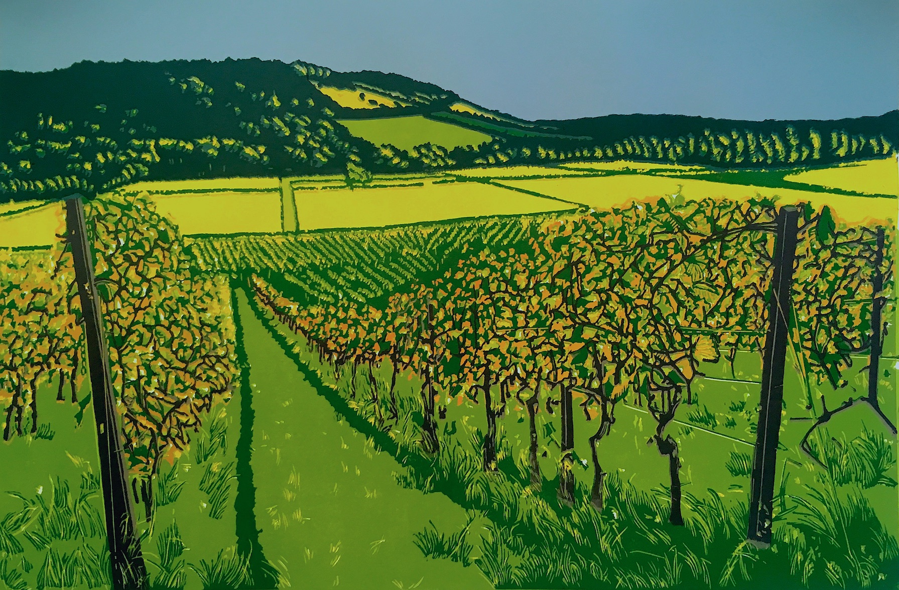 Box Hill View from Denbies reduction linocut 37.5 x 55cm image size £270 unframed