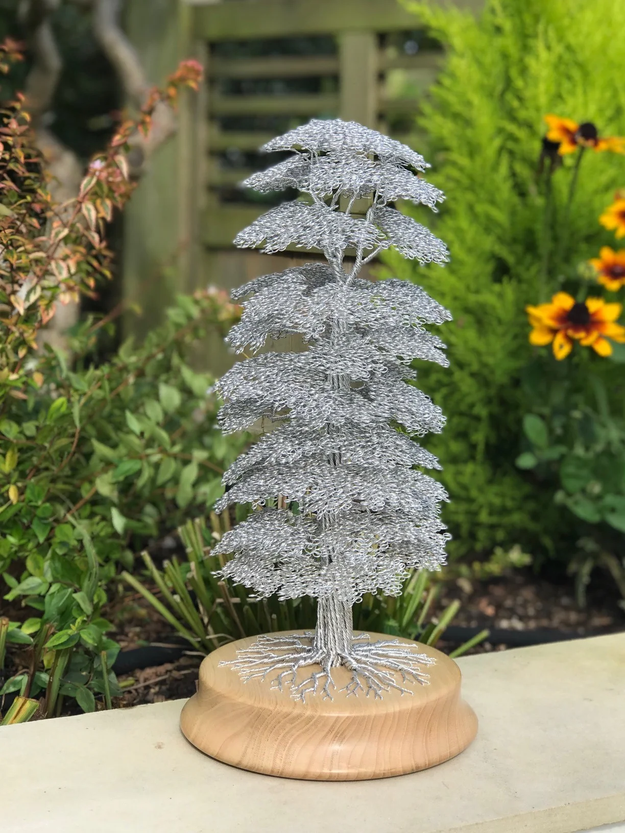 European White Elm wire and wood sold