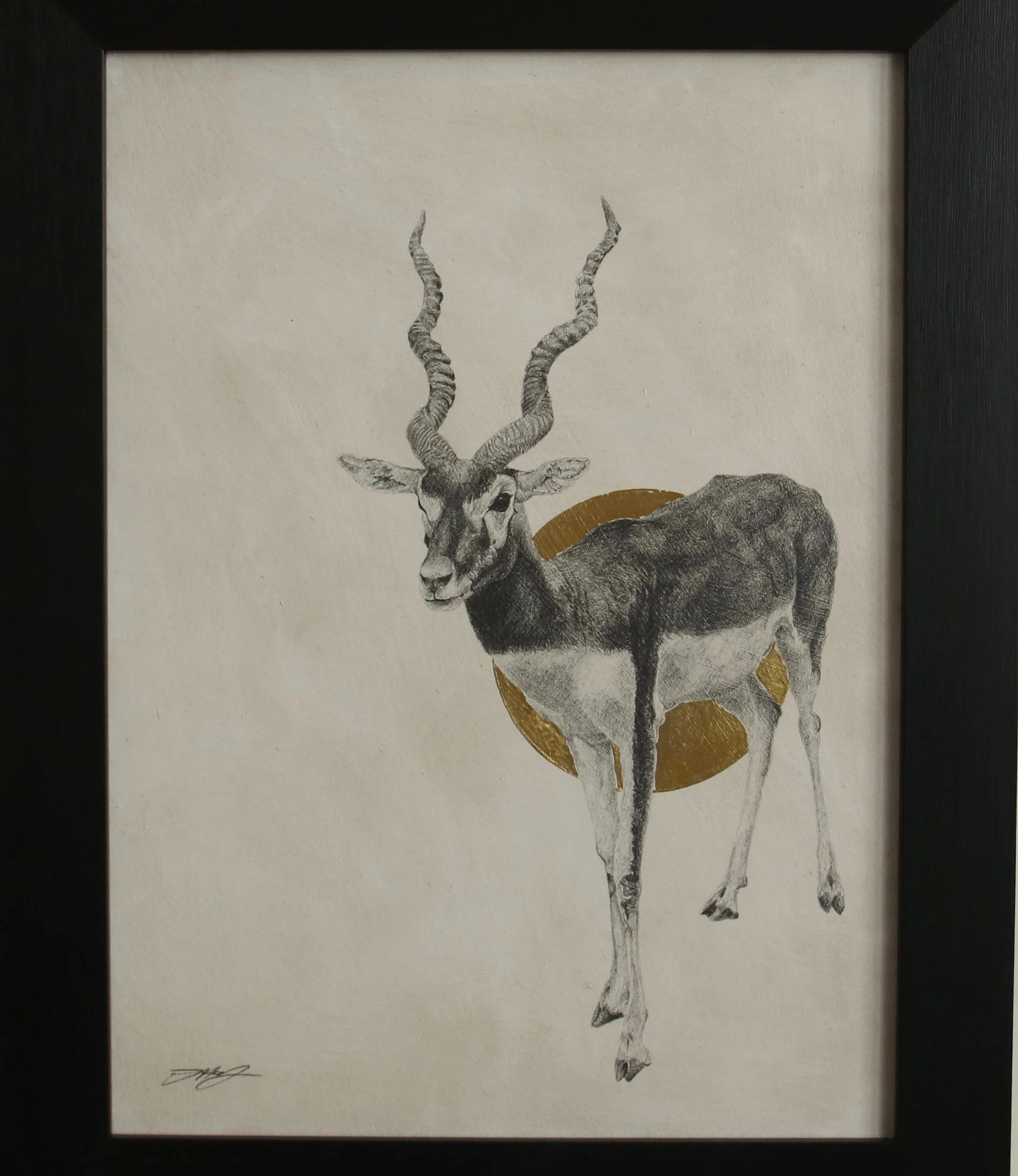 Blackbuck I Graphite on panel with 24ct gold leaf 41 x 31cm £750