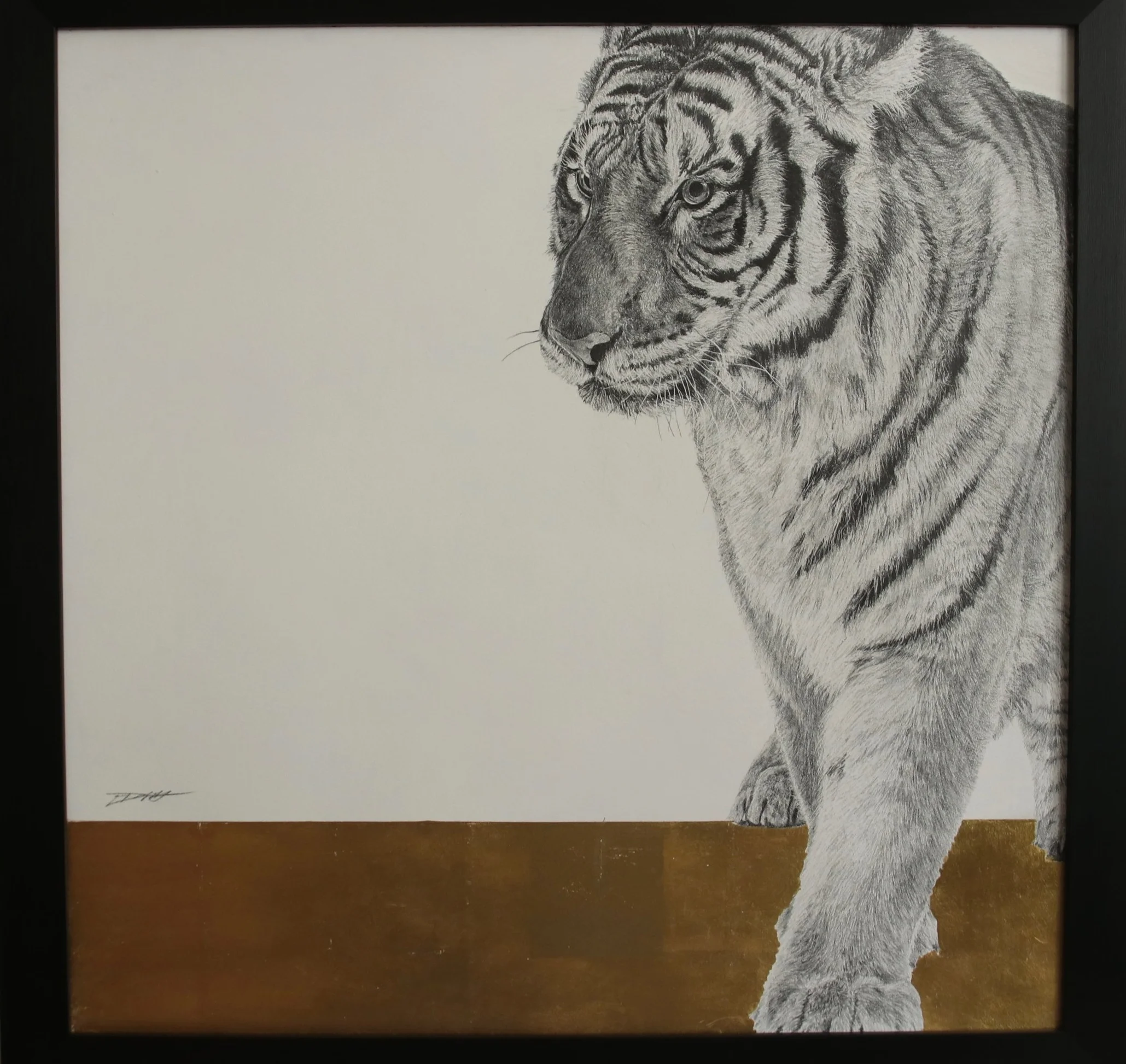 Tiger I Graphite on panel with 24crt gold leaf 61 x 61cm £1,500