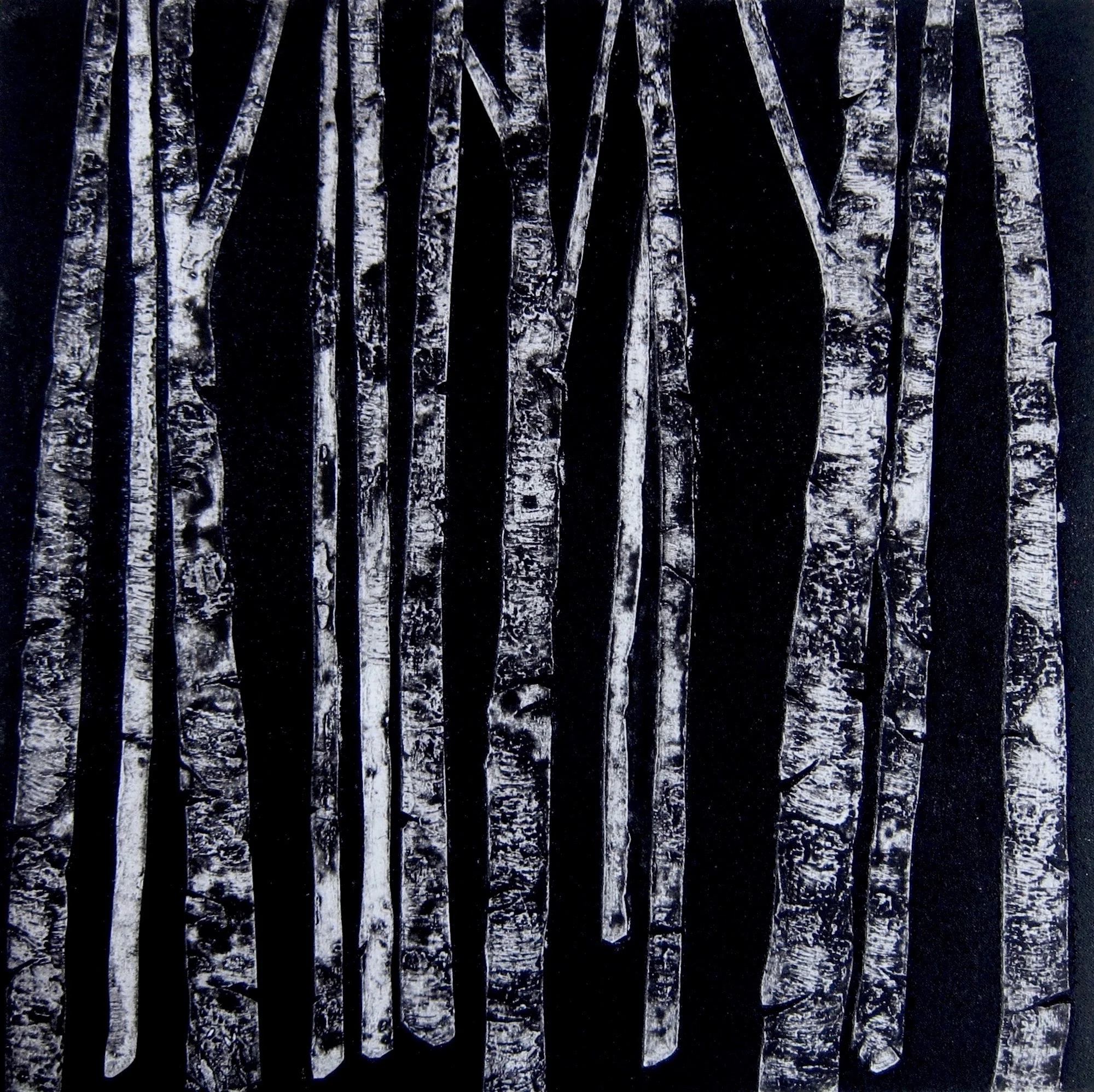 Birches silk aquatint 40 x 40 cm £180