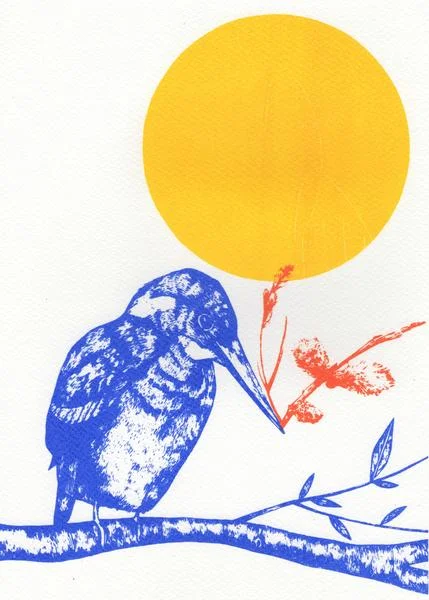 Kingfisher and Sunshine