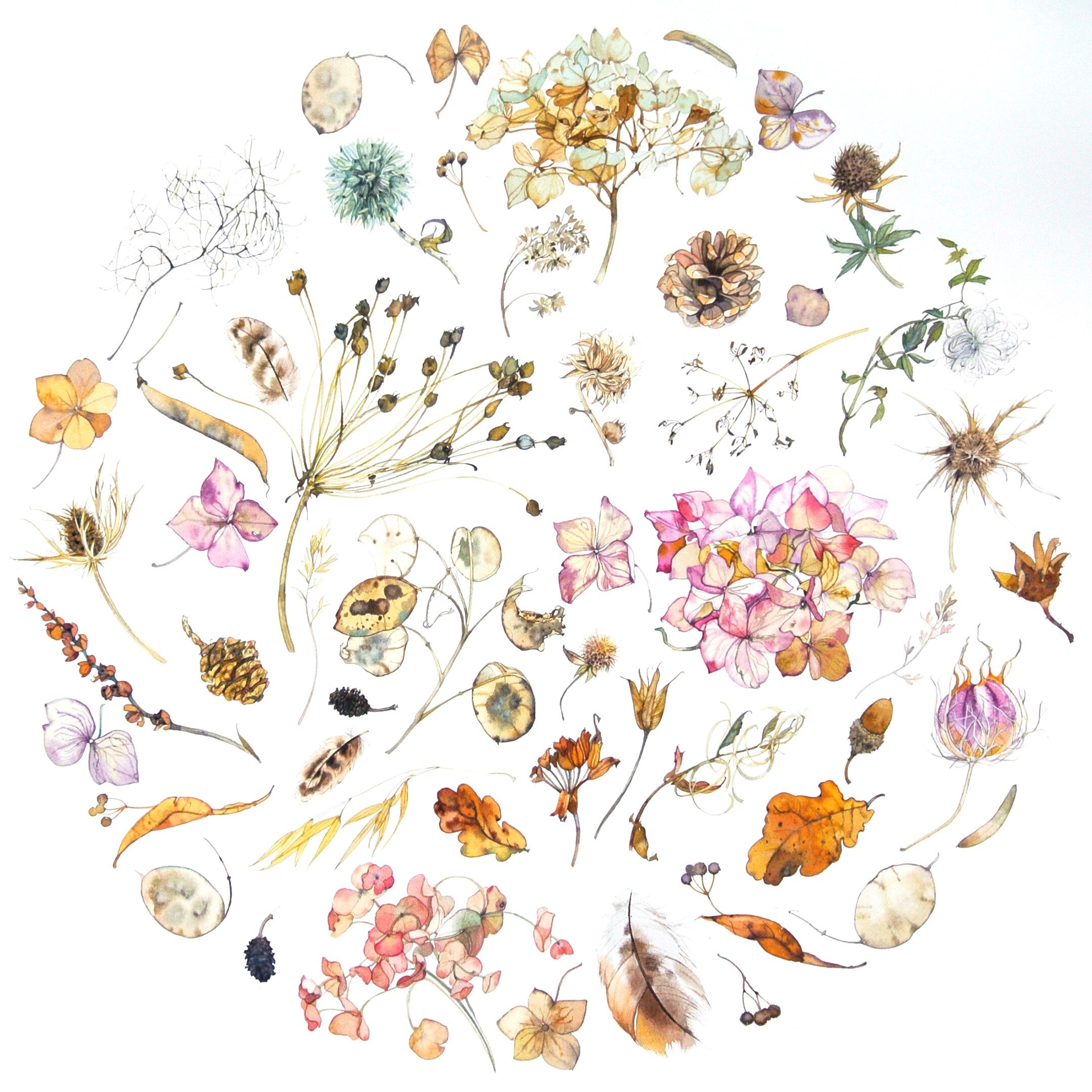 Winter Foliage Circle watercolour 69 cm x 69 cm framed £ 780