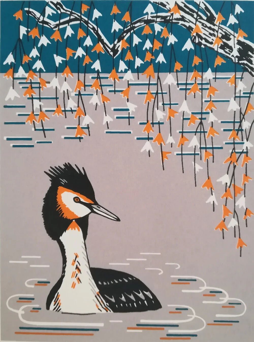 Great+Crested+Grebe+2.jpg