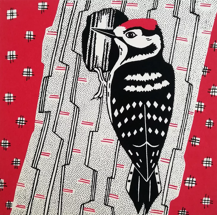 Unframed Lesser Spotted Woodpecker by Catherine Bowdler