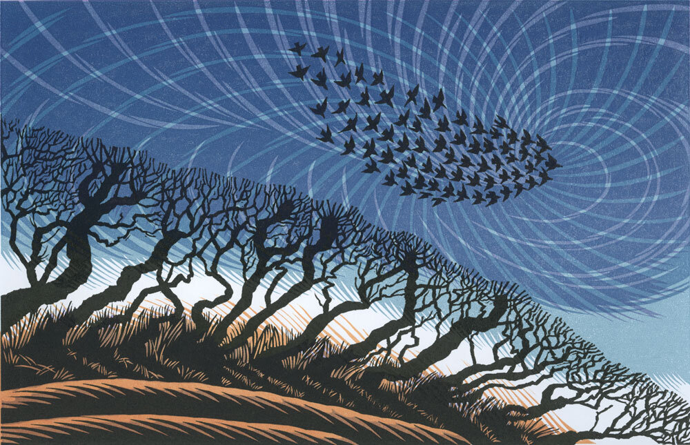 late-starlings.jpg