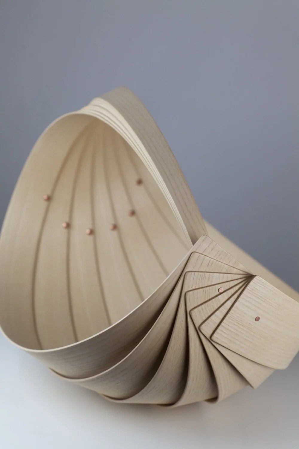 Jane Crisp_5.jpg