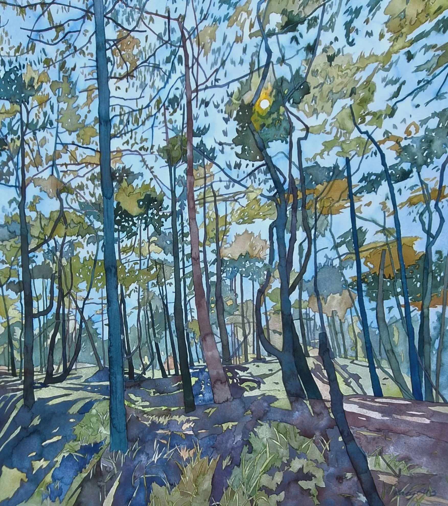 Holkham Woods 56cm x 50cm sml.jpg