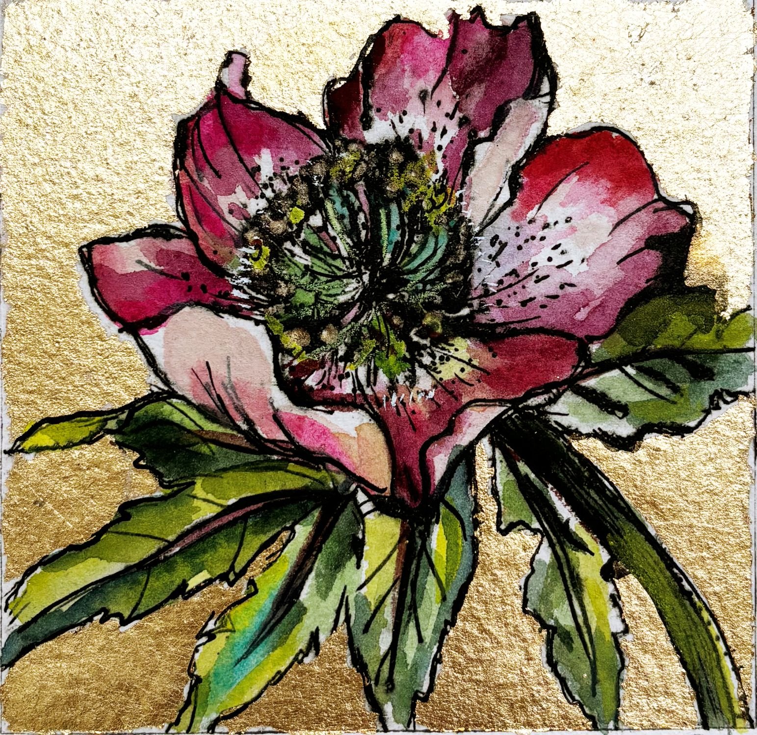 Snow rose 4 sml.jpg