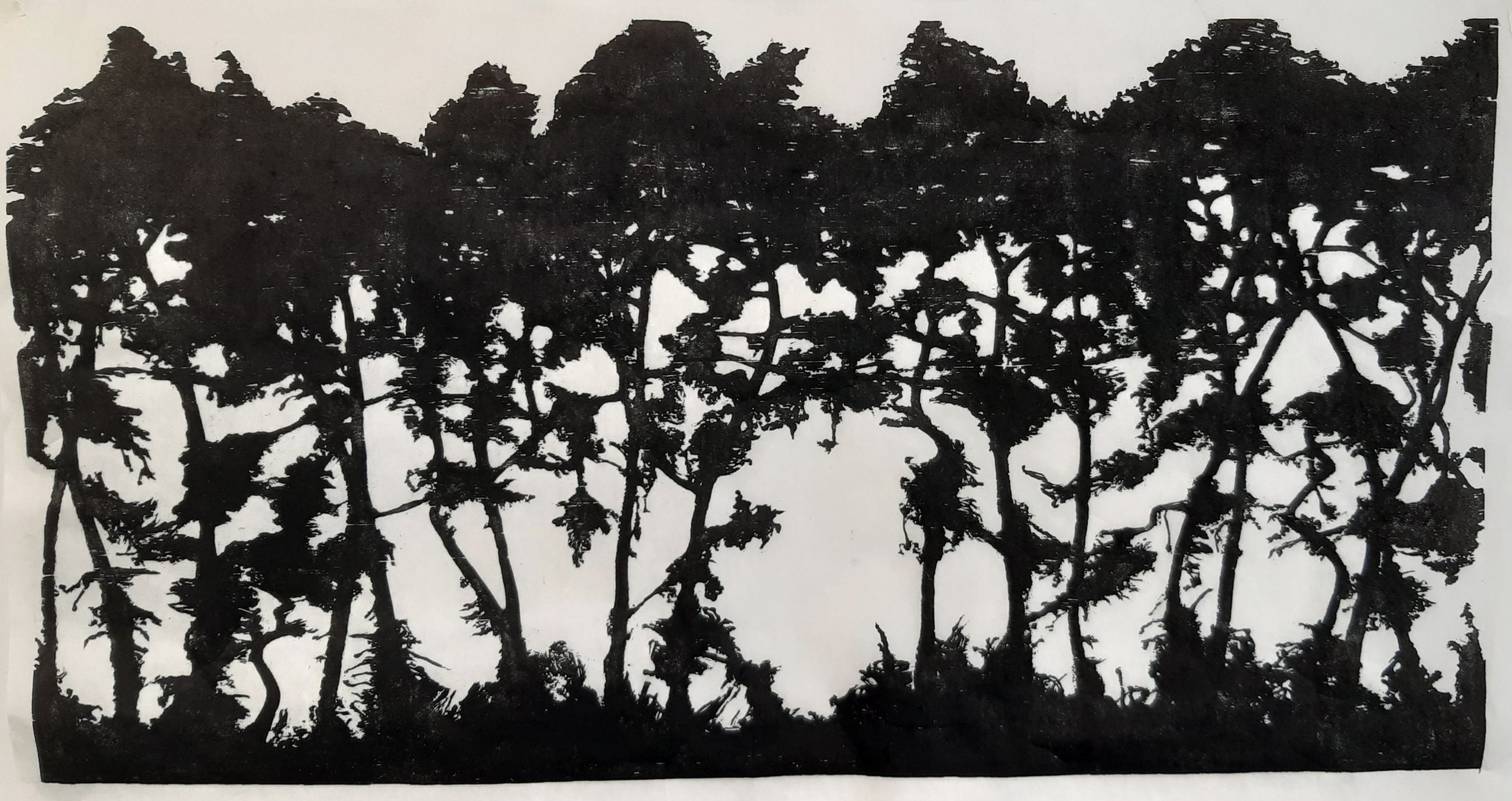 Sunlit Pines Woodcut ..jpg