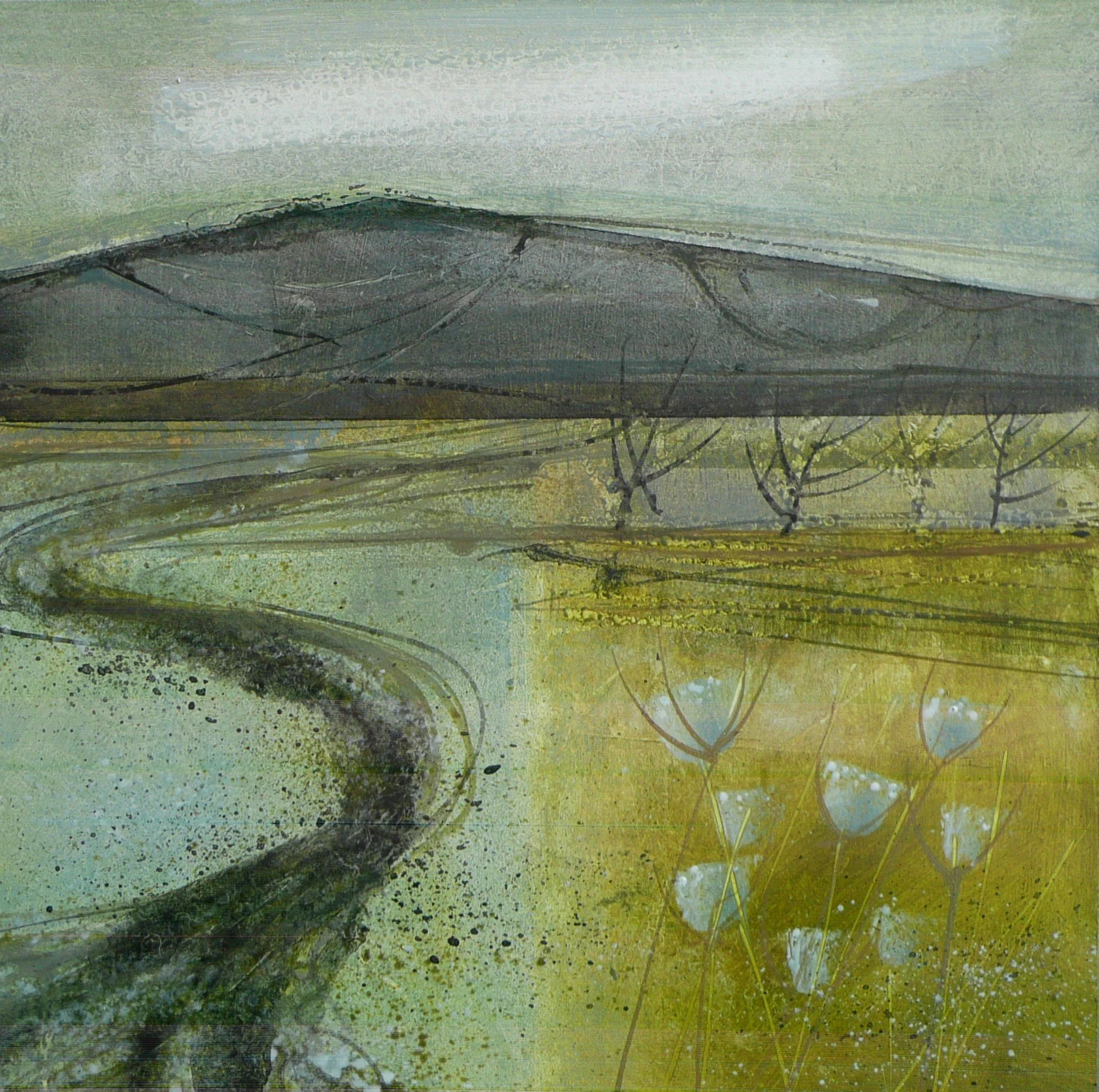 1387. Meandering through fields..JPG