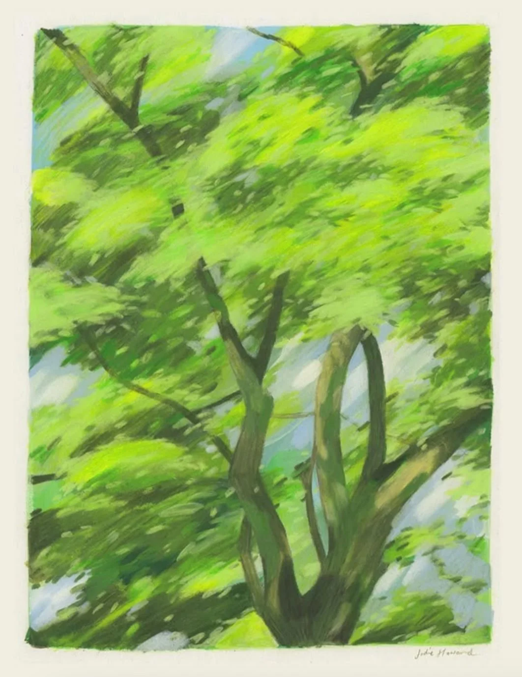 Path of the Wind.jpg