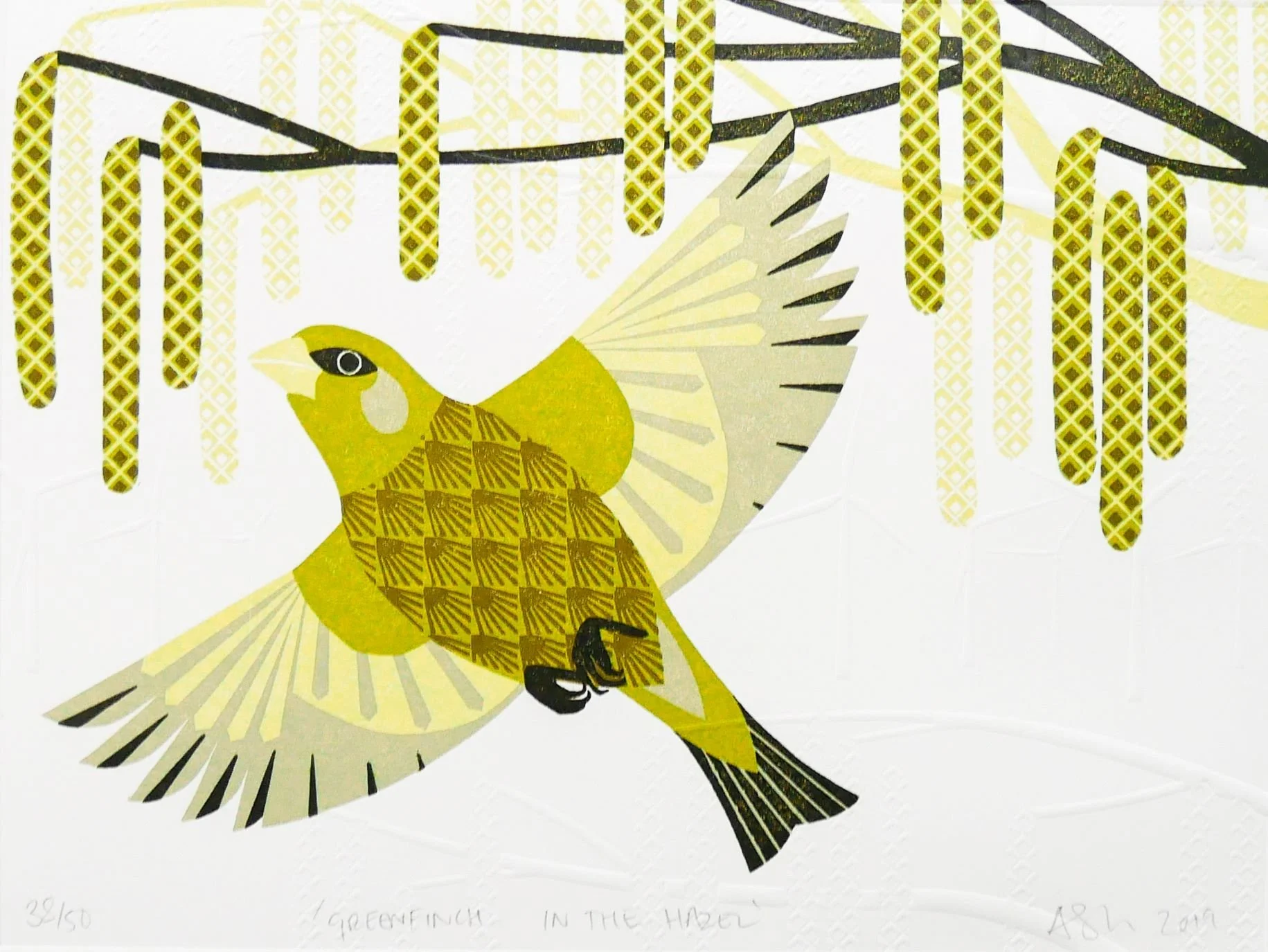 Greenfinch in the Hazel by Ashley Hutchinson