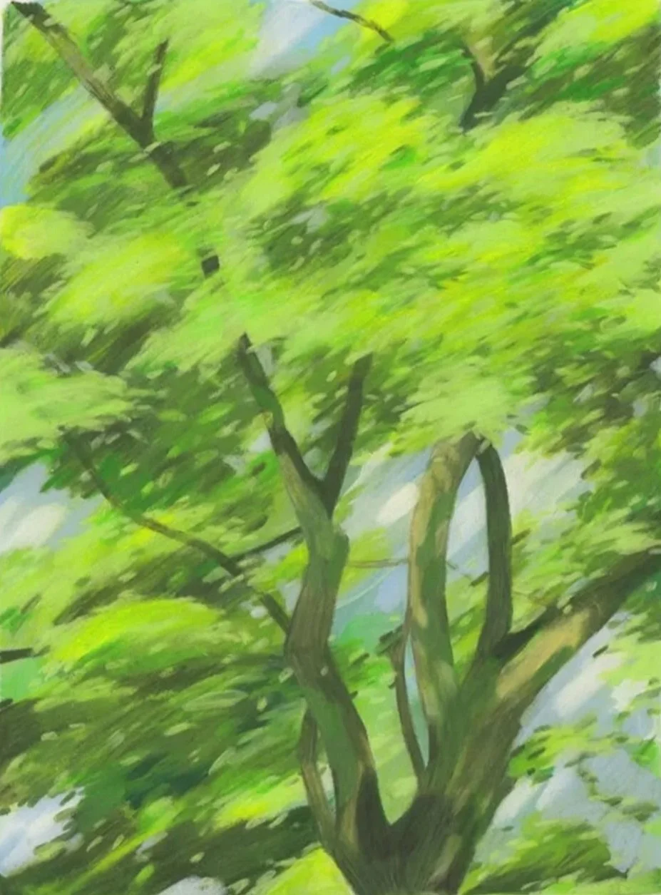 Path+of+the+Wind.jpg