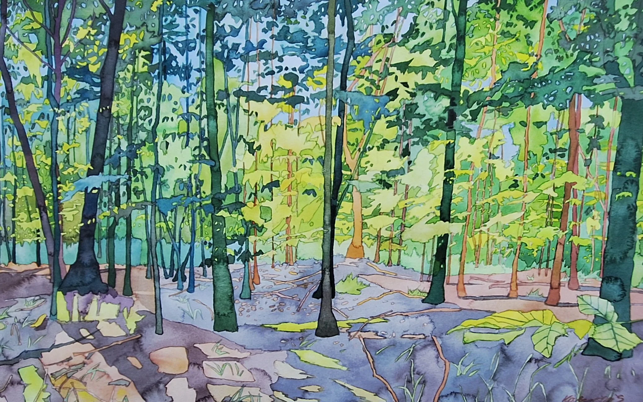 Pounce Woods I 34cm x 54cm.jpg