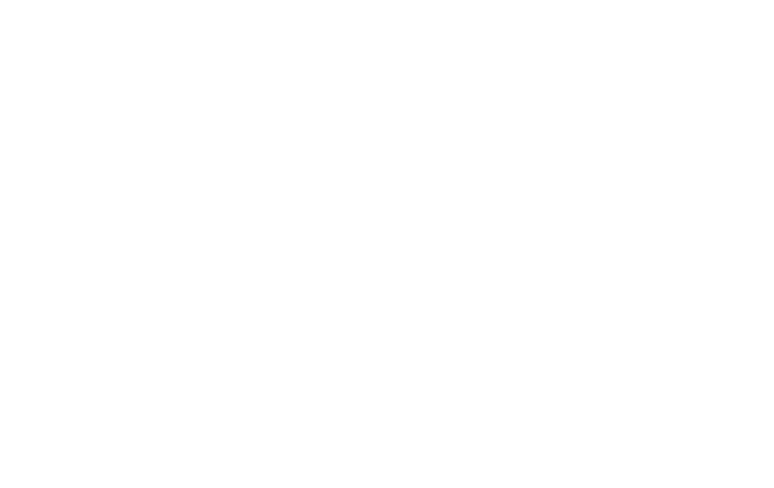 white_logo_transparent.png