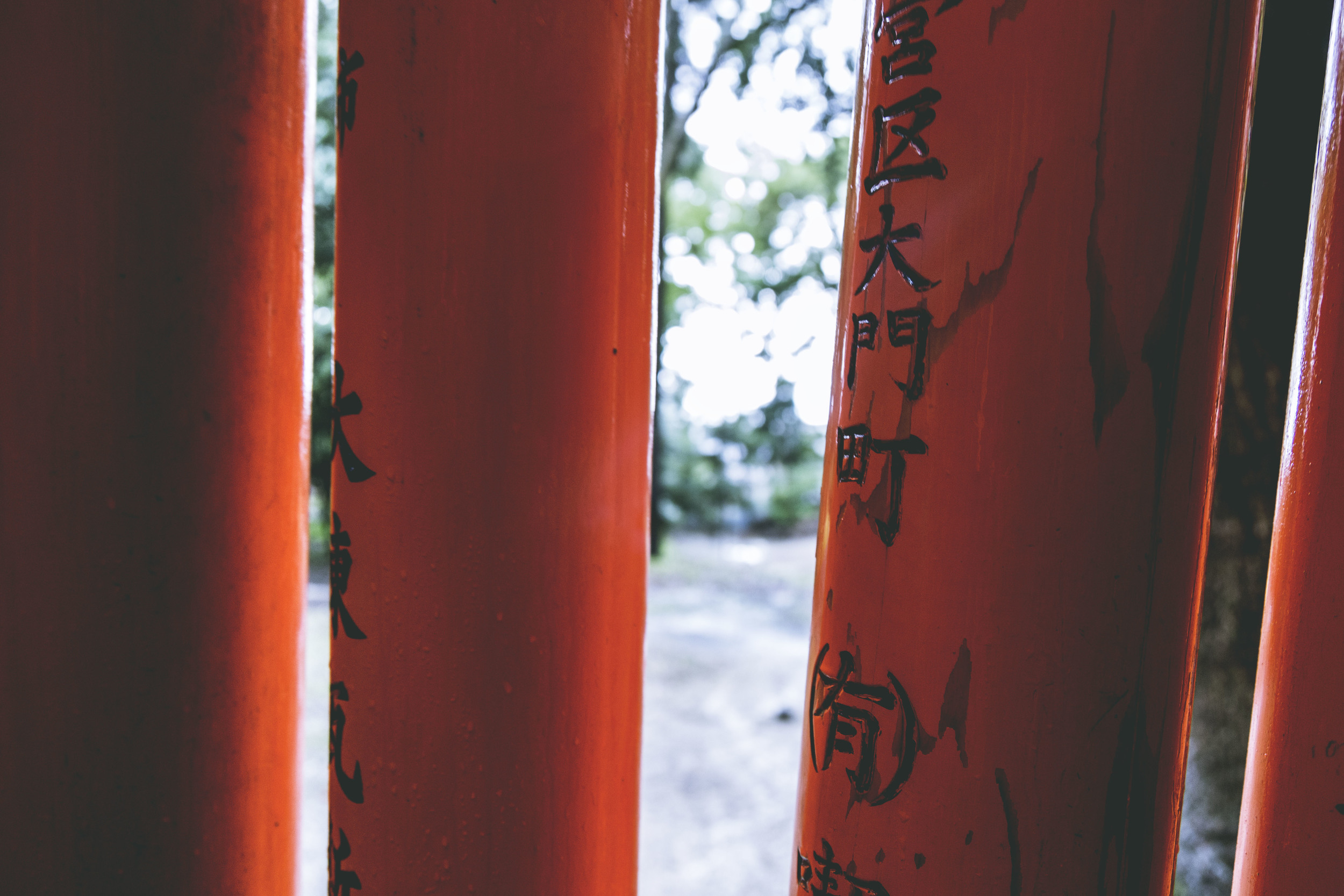 Japan Fushimi Inari .jpg