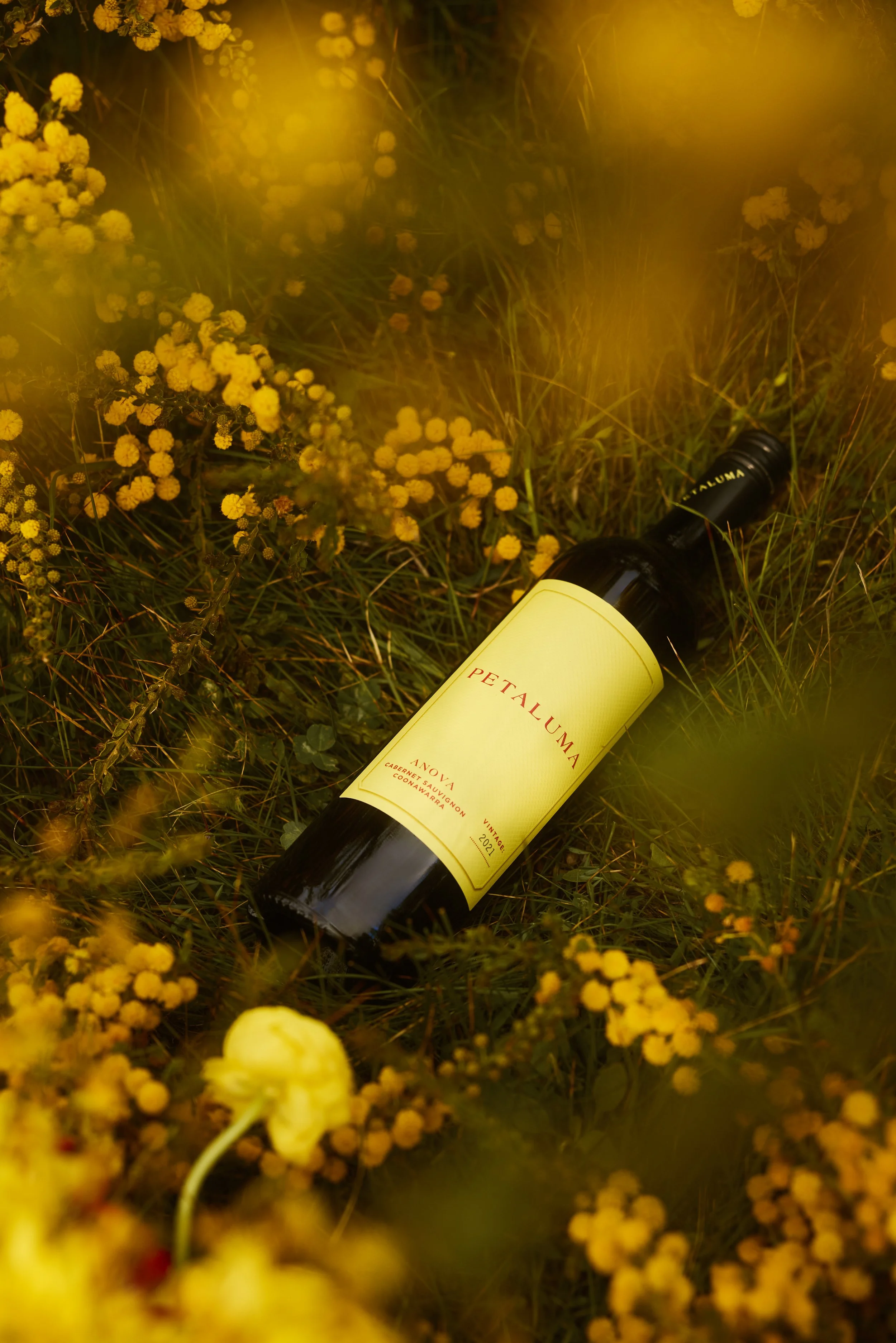 PetalumaSocial_1078_FULL.jpg