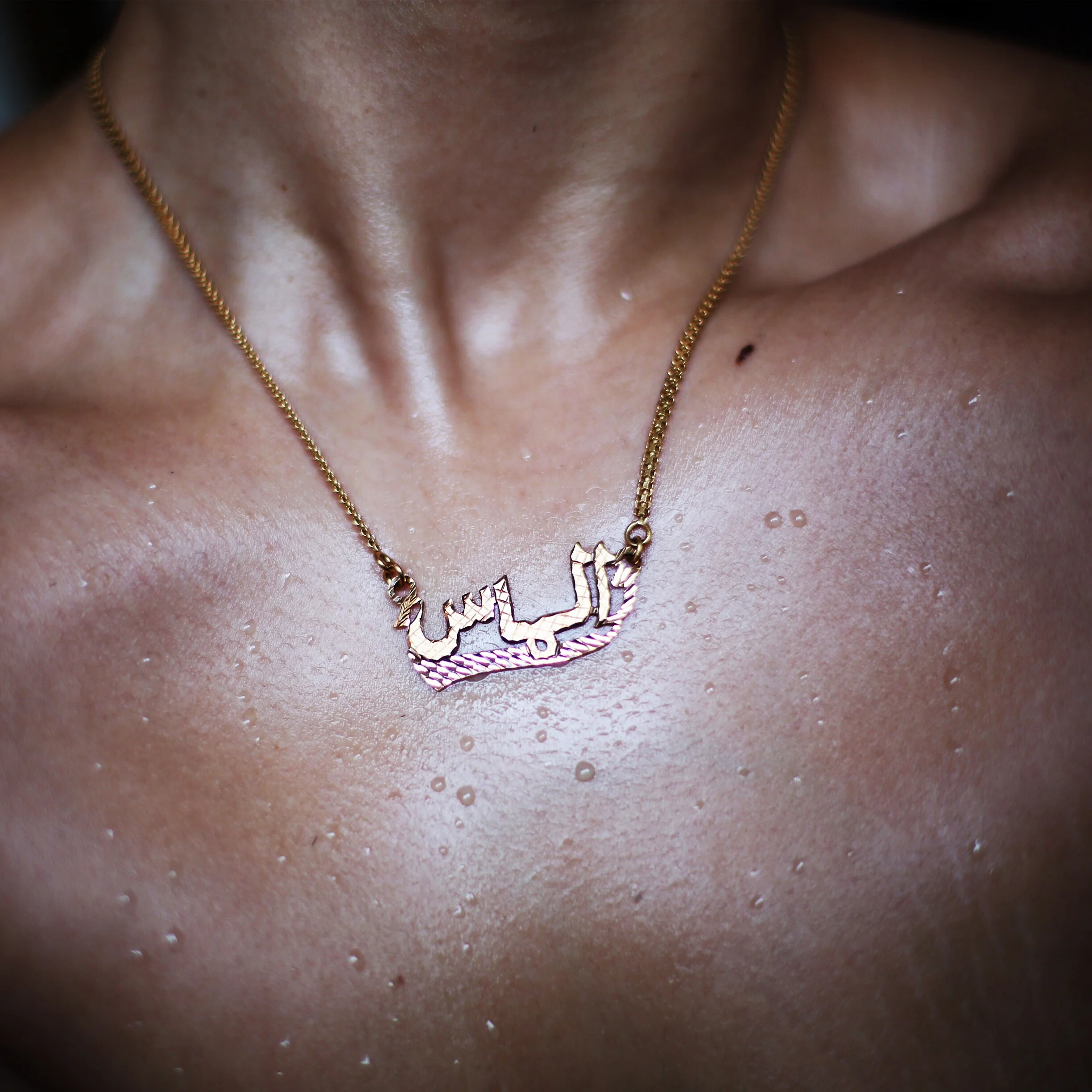 Search for My Tongue