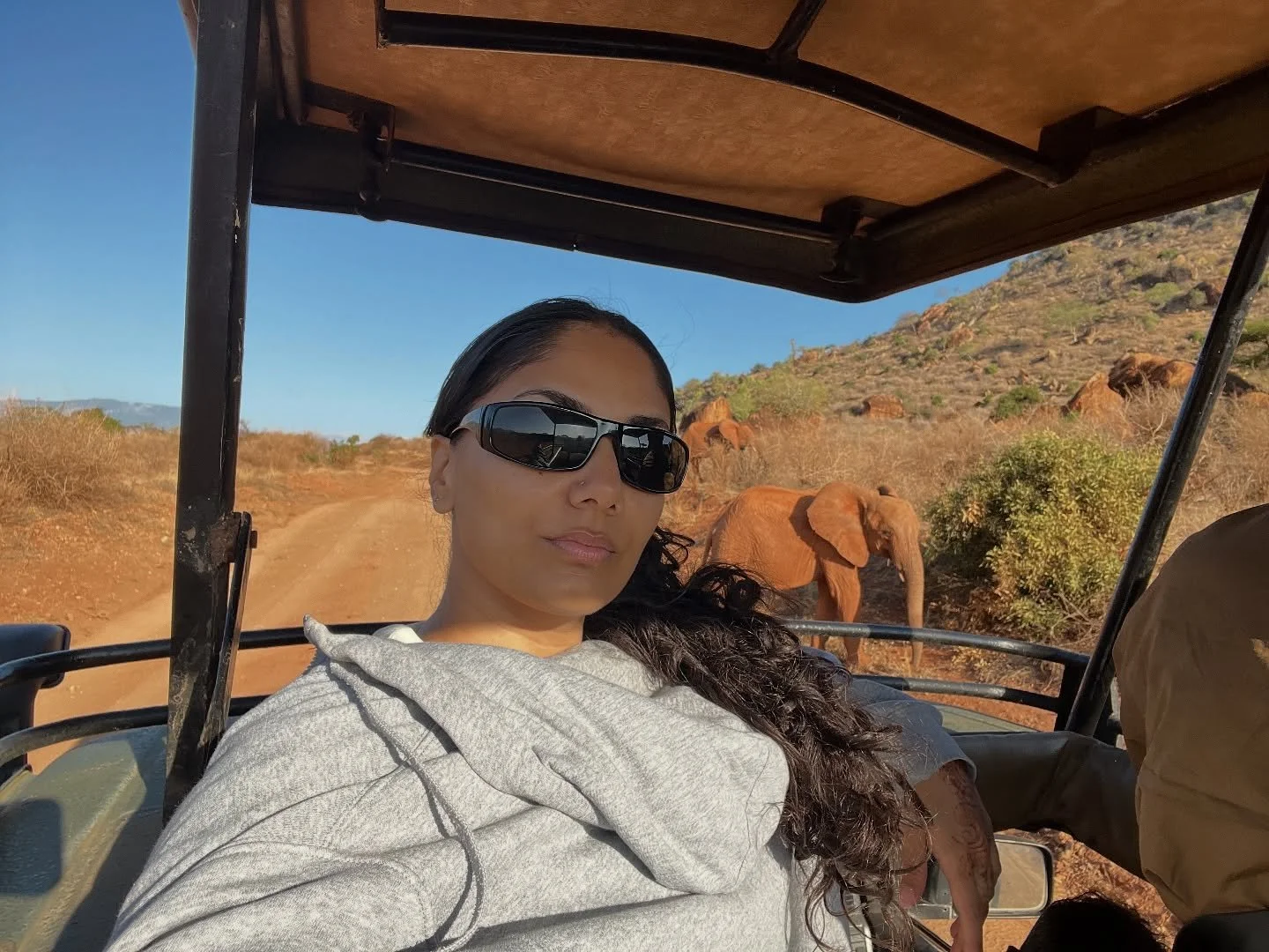 Elephant appreciation and protection post. The real Kings and Queens of the jungle (in my opinion 😌 🐘) 

Elephants are intelligent, emotionally in-tune and absolutely majestic creatures who can live up to 70 years. They are the largest land mammals