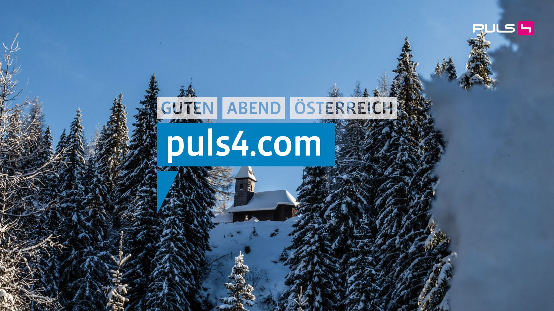puls4_GAÖ_Logo_19.jpg