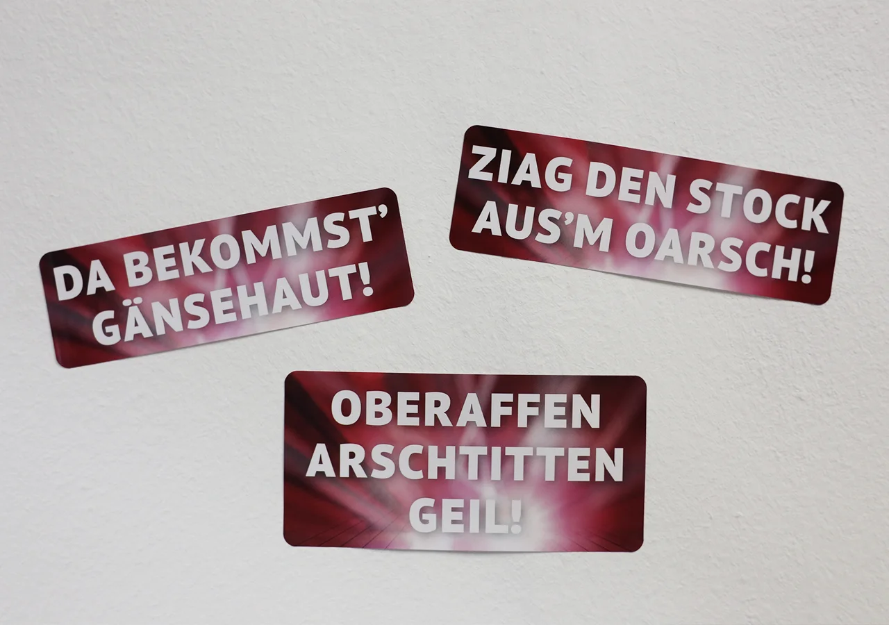 PULS4_HVÖ_Kampagne_15_1.jpg