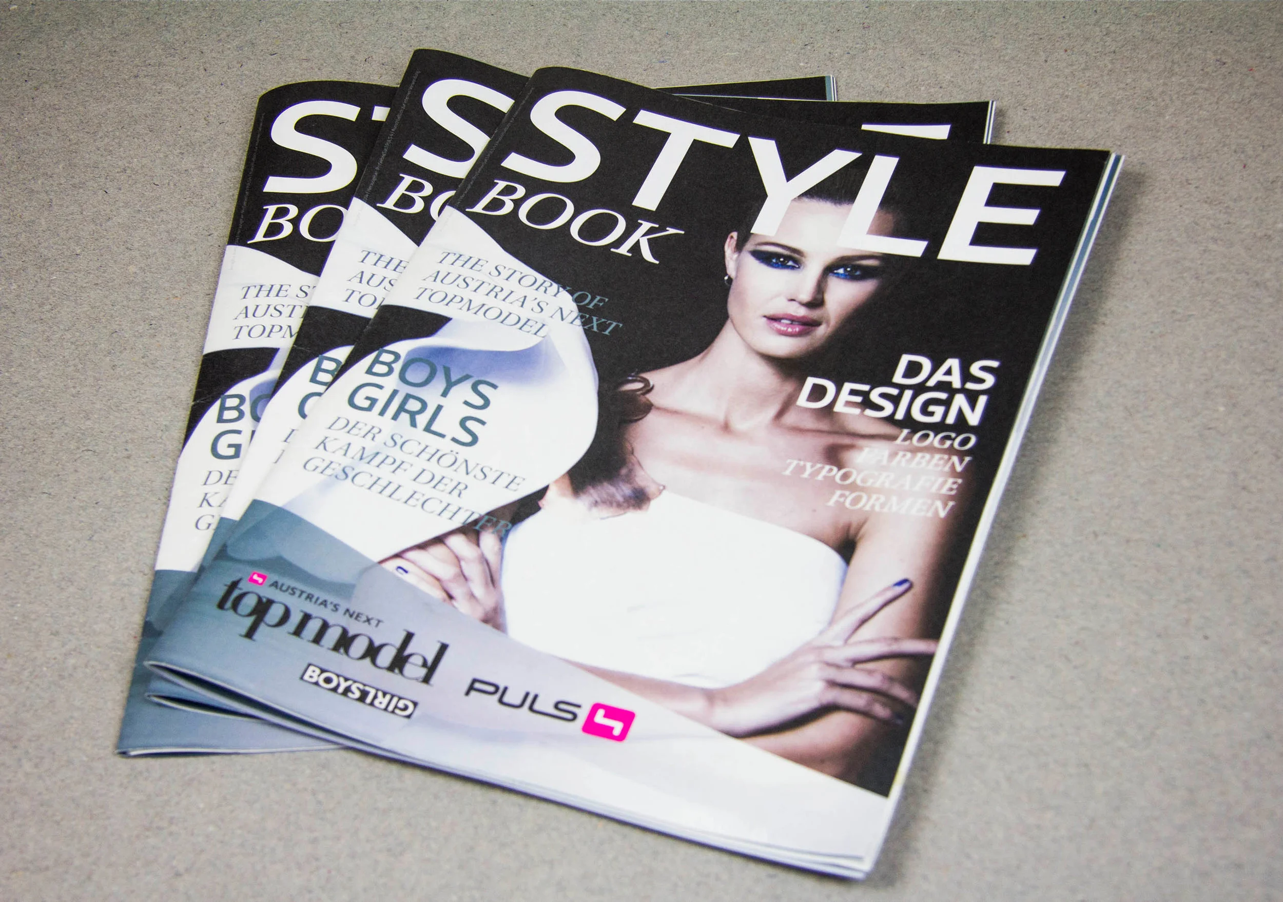 puls4_Topmodel2014_Styleguide_2562x1802_1.jpg