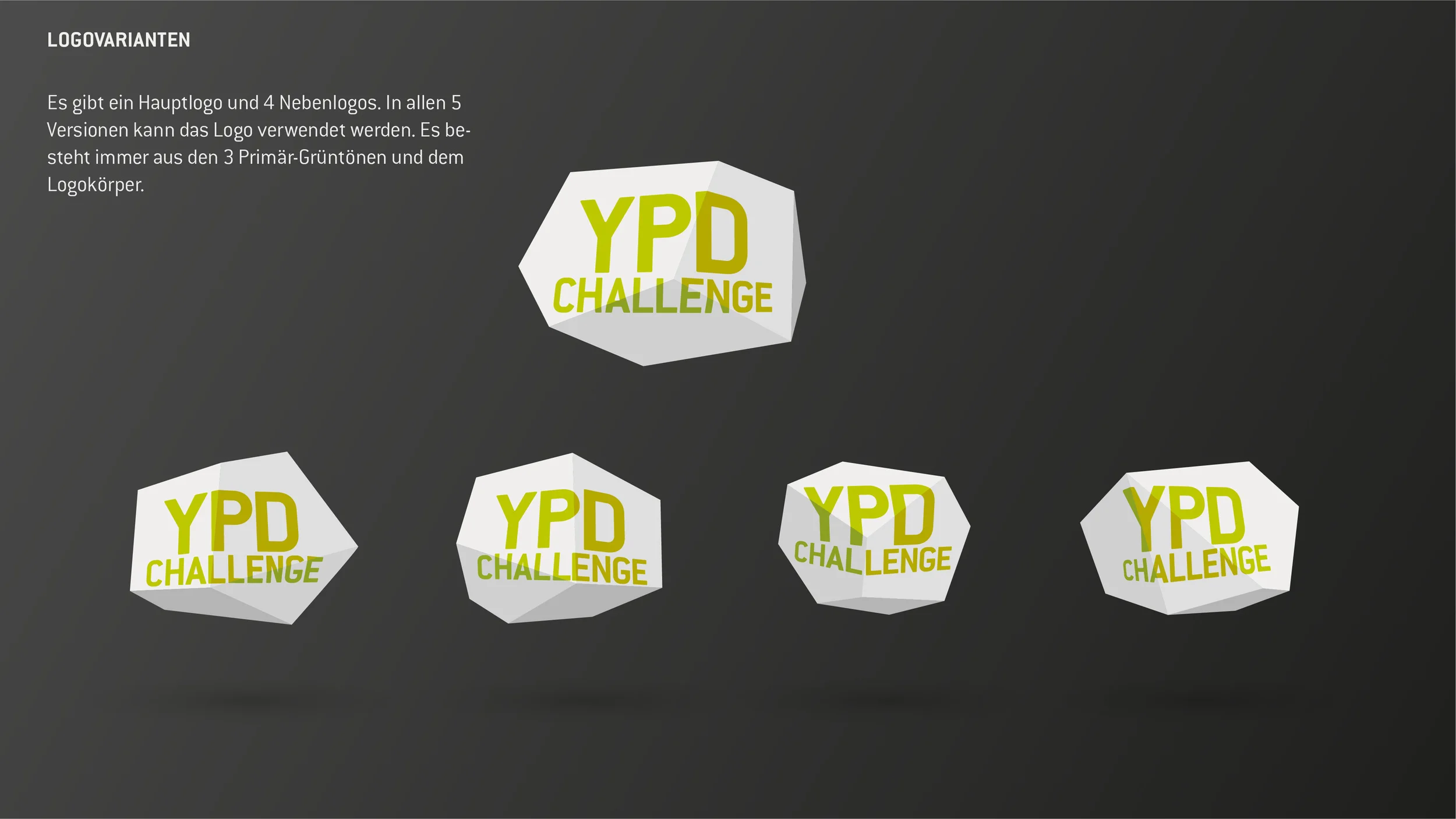 YPD_Manual_RZ_-03.jpg