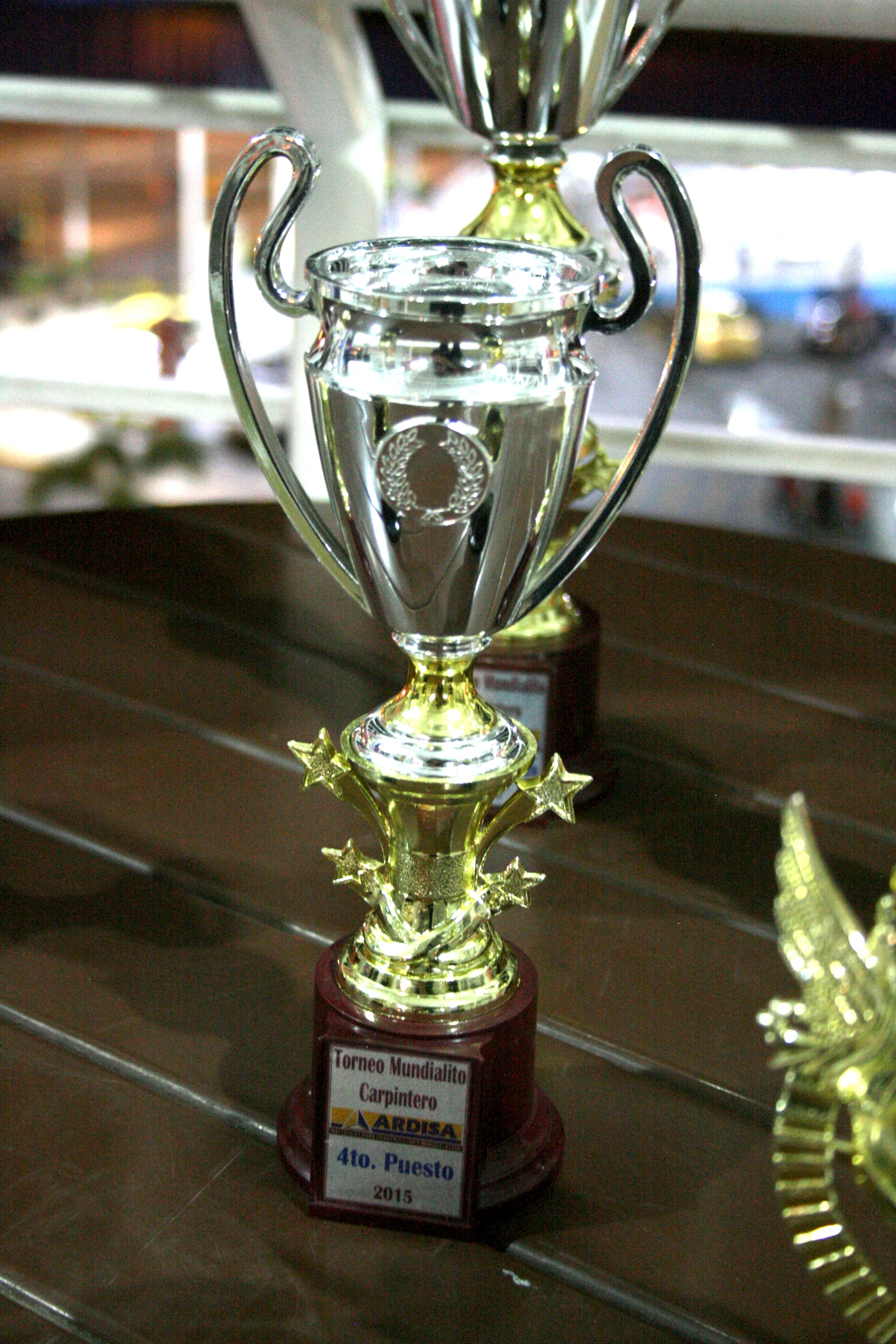 Imagen 005 copia.jpg