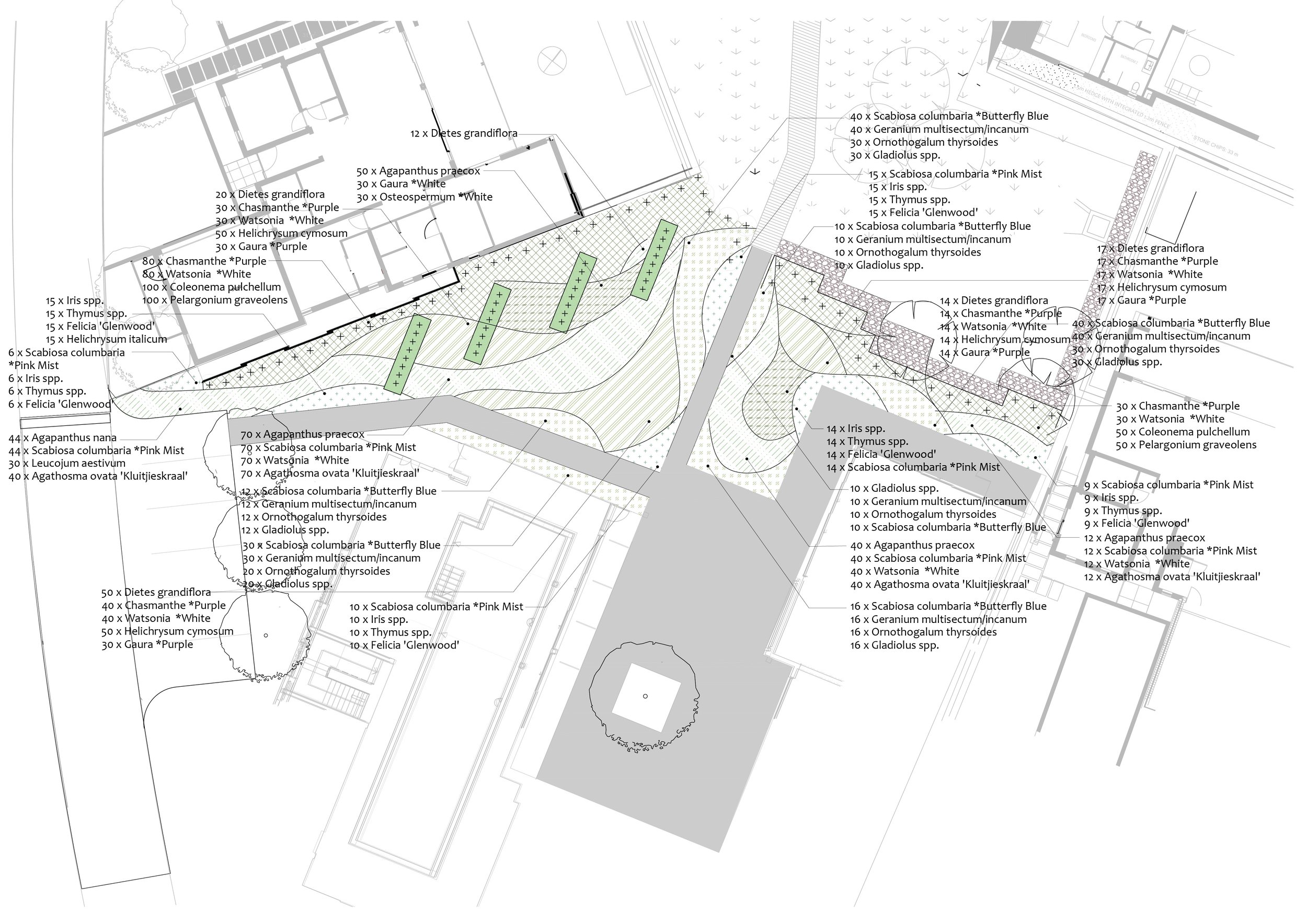  Planting plan clubhouse courtyard 