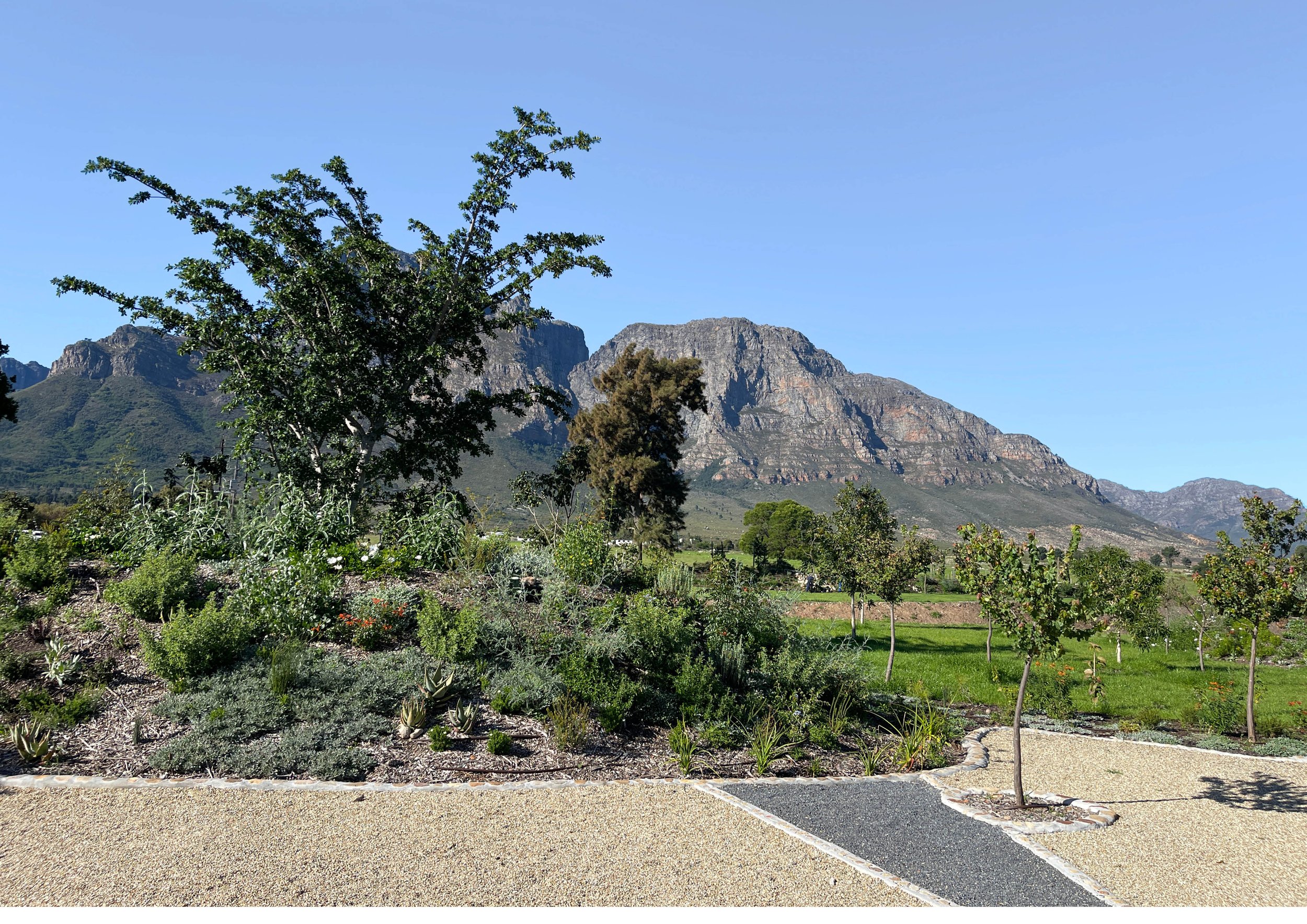  From The Bertha Retreat Website: The Bertha Retreat, based at Boschendal Wine Farm in the Dwarsrivier Valley, South Africa, was created as a space where activists, lawyers, storytellers and community groups can work together to progress social and e