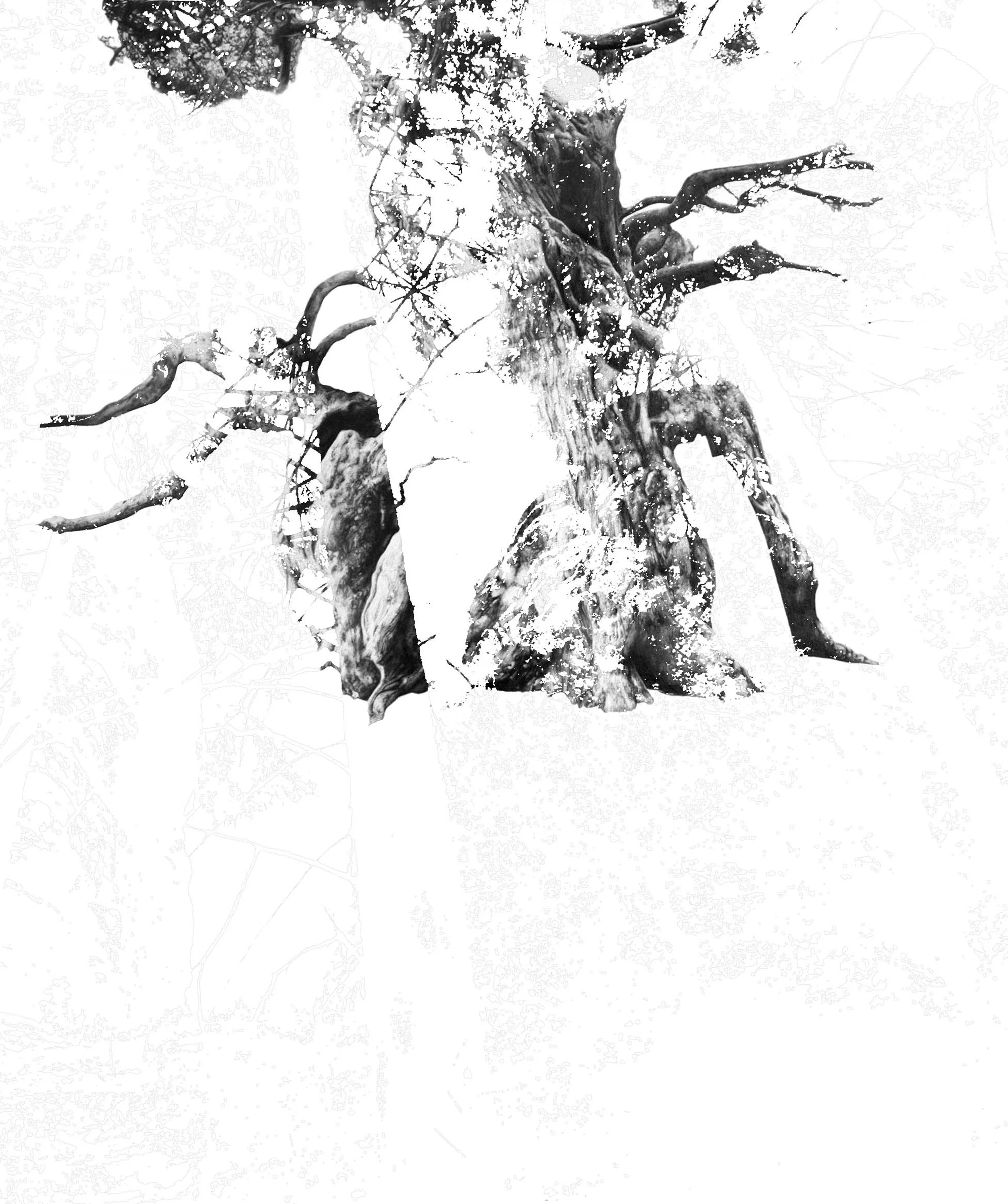 Sachsische-Schweiz2 copy.jpg