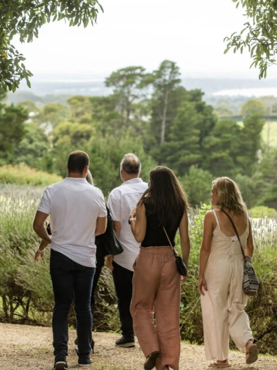 A-Walking-and-Wine-Tour-begins-in-Red Hill-and-ends-in-Merricks.jpg