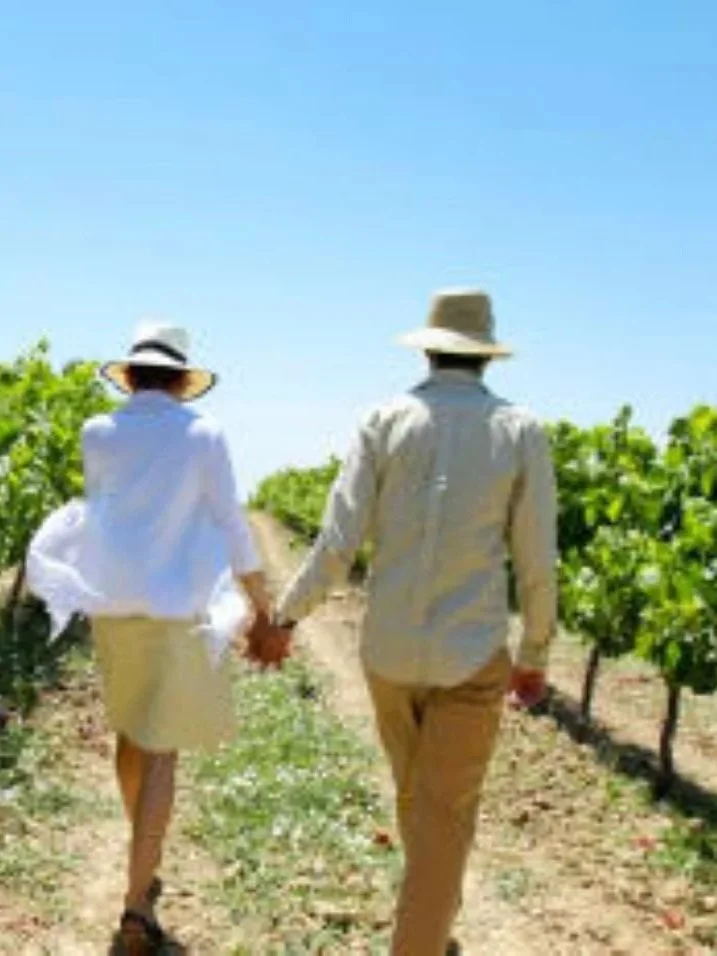 Guests-on-a-Walking-and-wine-tour.jpg