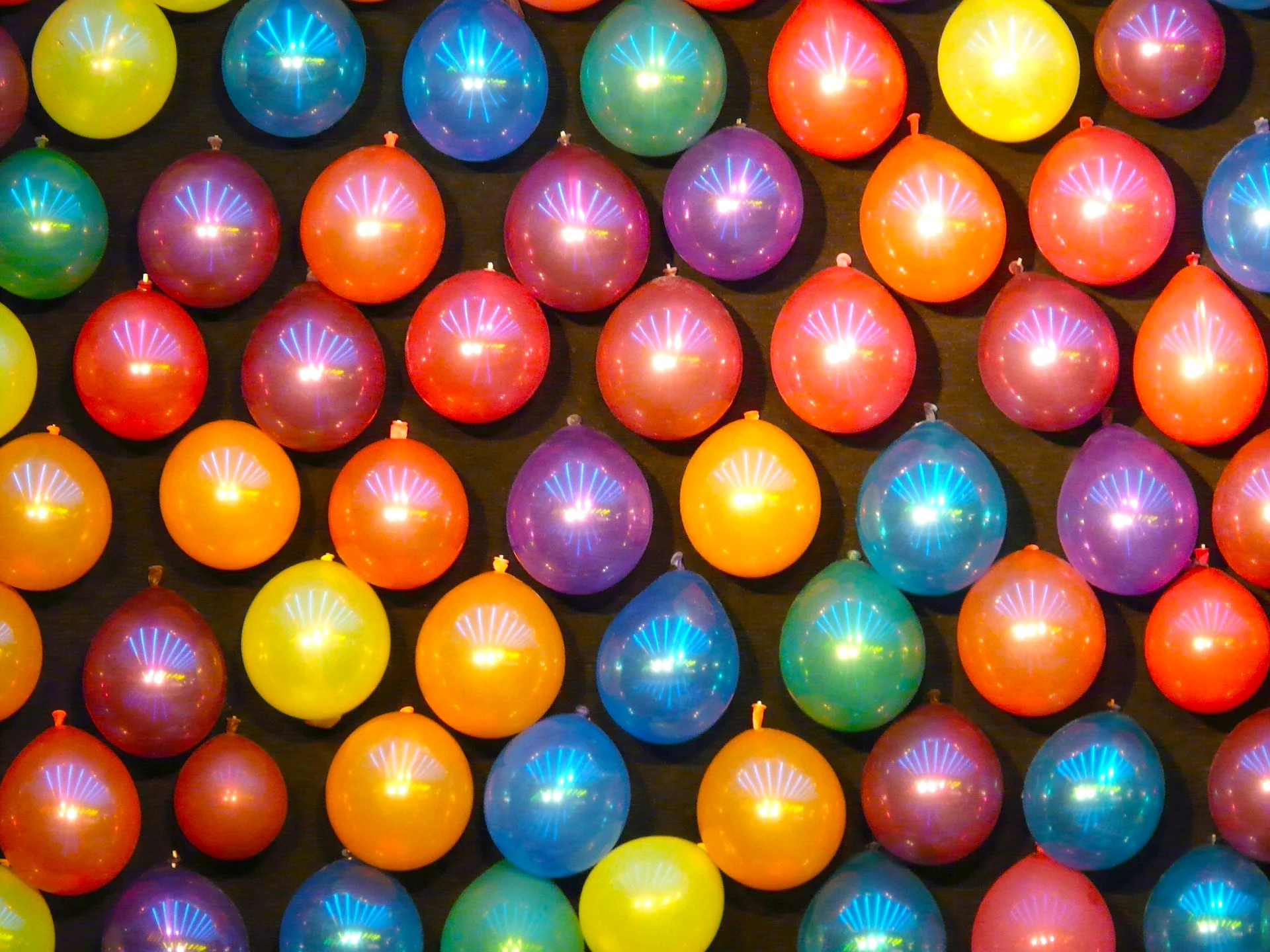 Fun Fair at Champlain Manor