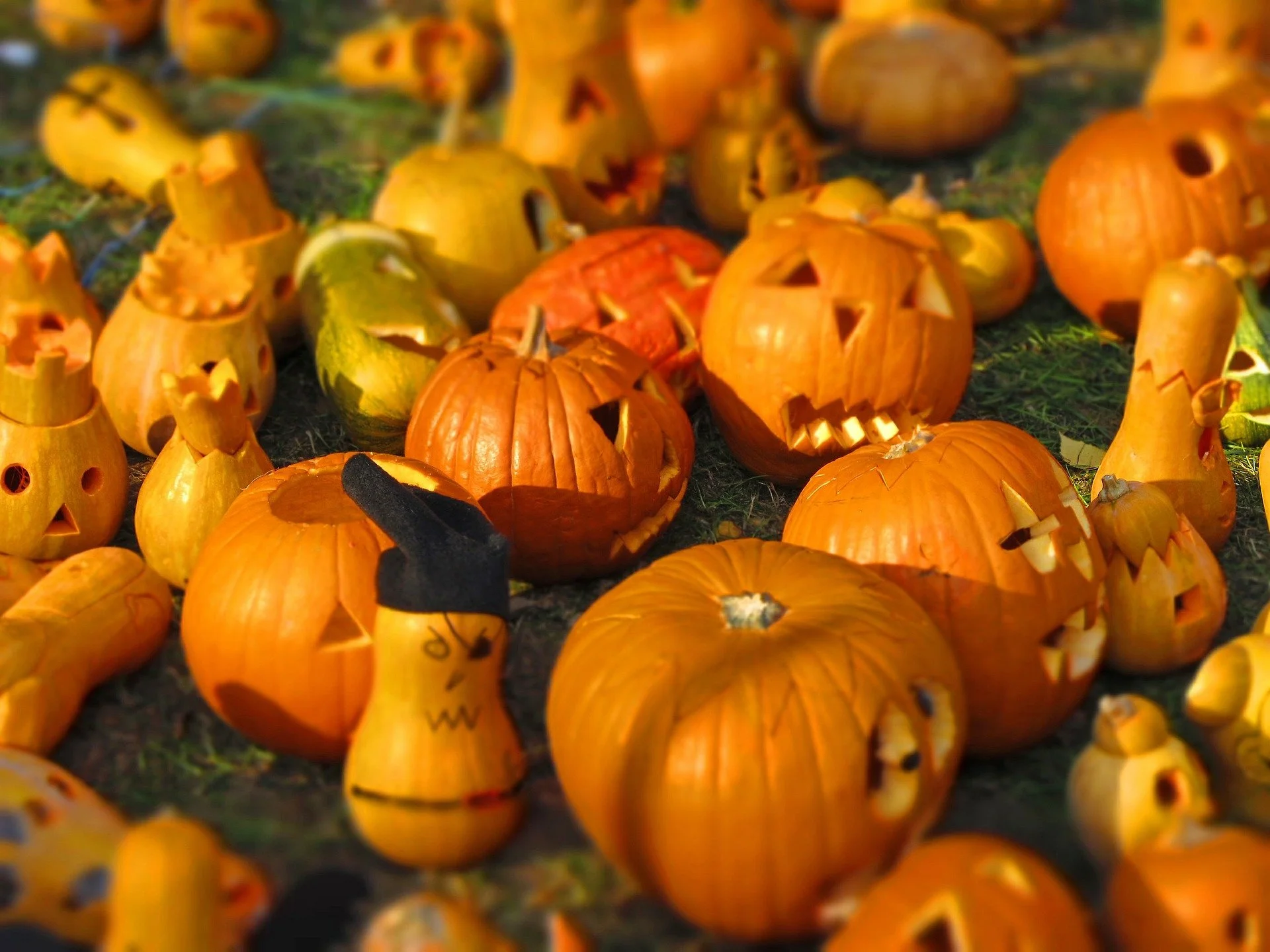 Pumpkin Painting