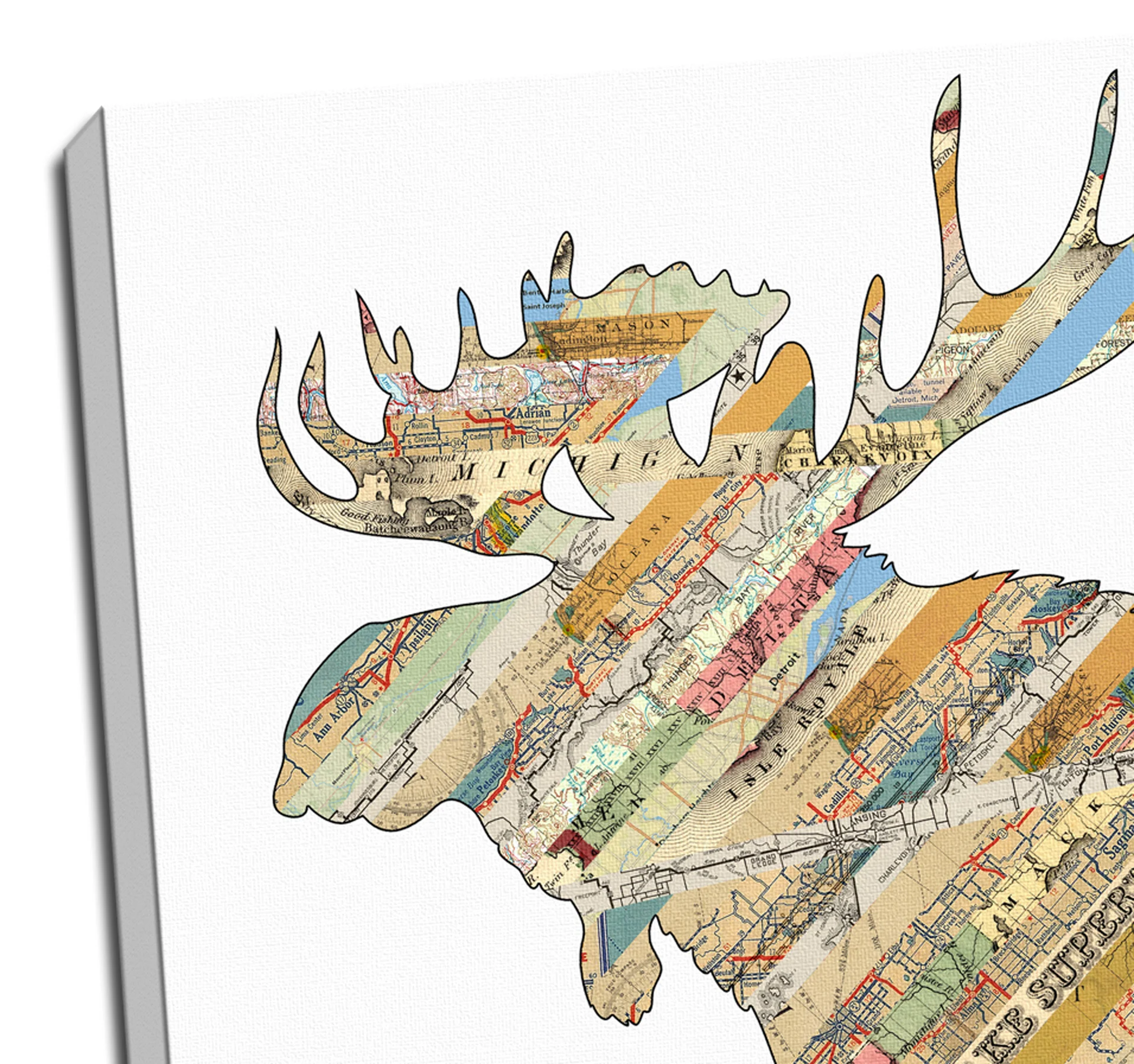 Moose_Wrap_Detail.jpg