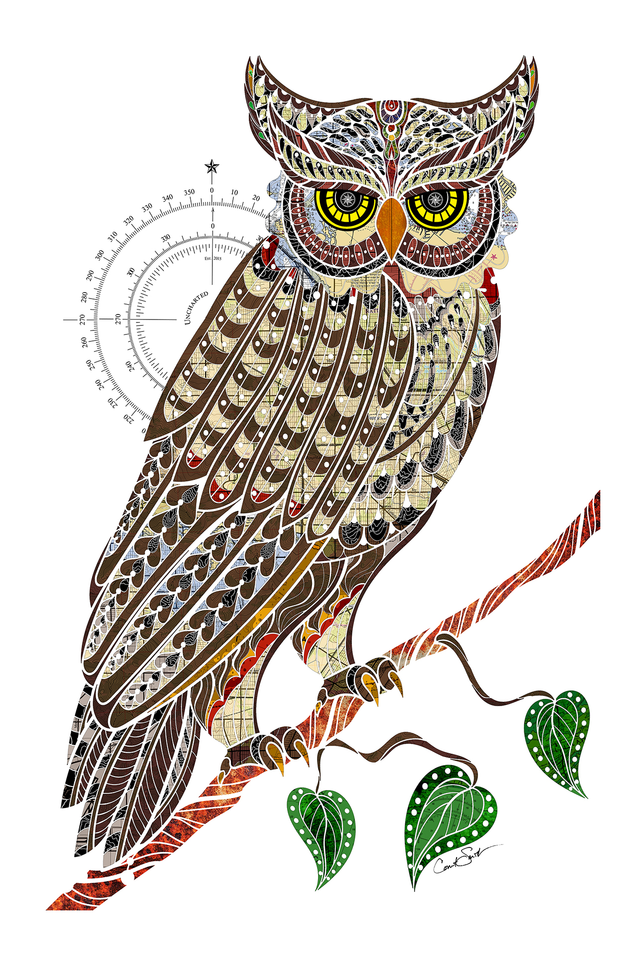 Owl