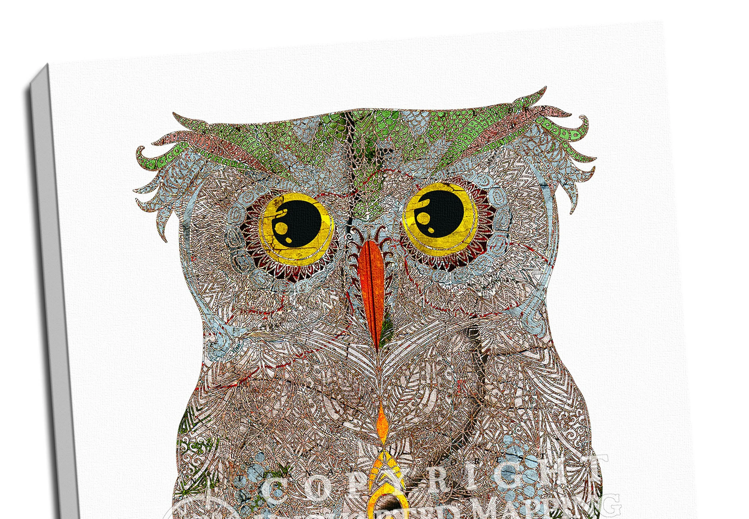 LittleOwl Detail.jpg