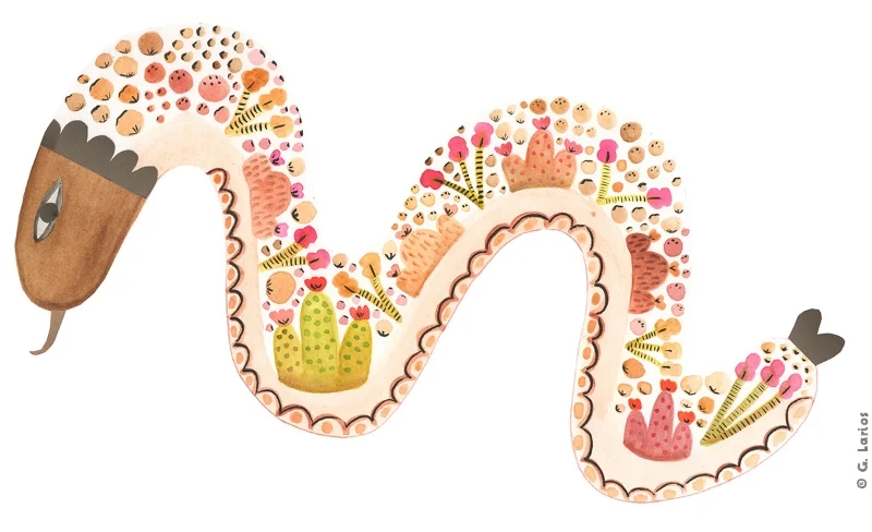 Cacti Snake