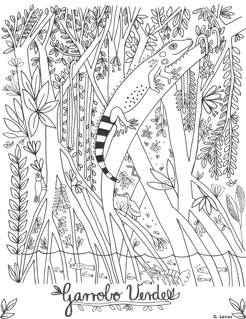 Ilustracion garrobo verde gabriela larios.jpg
