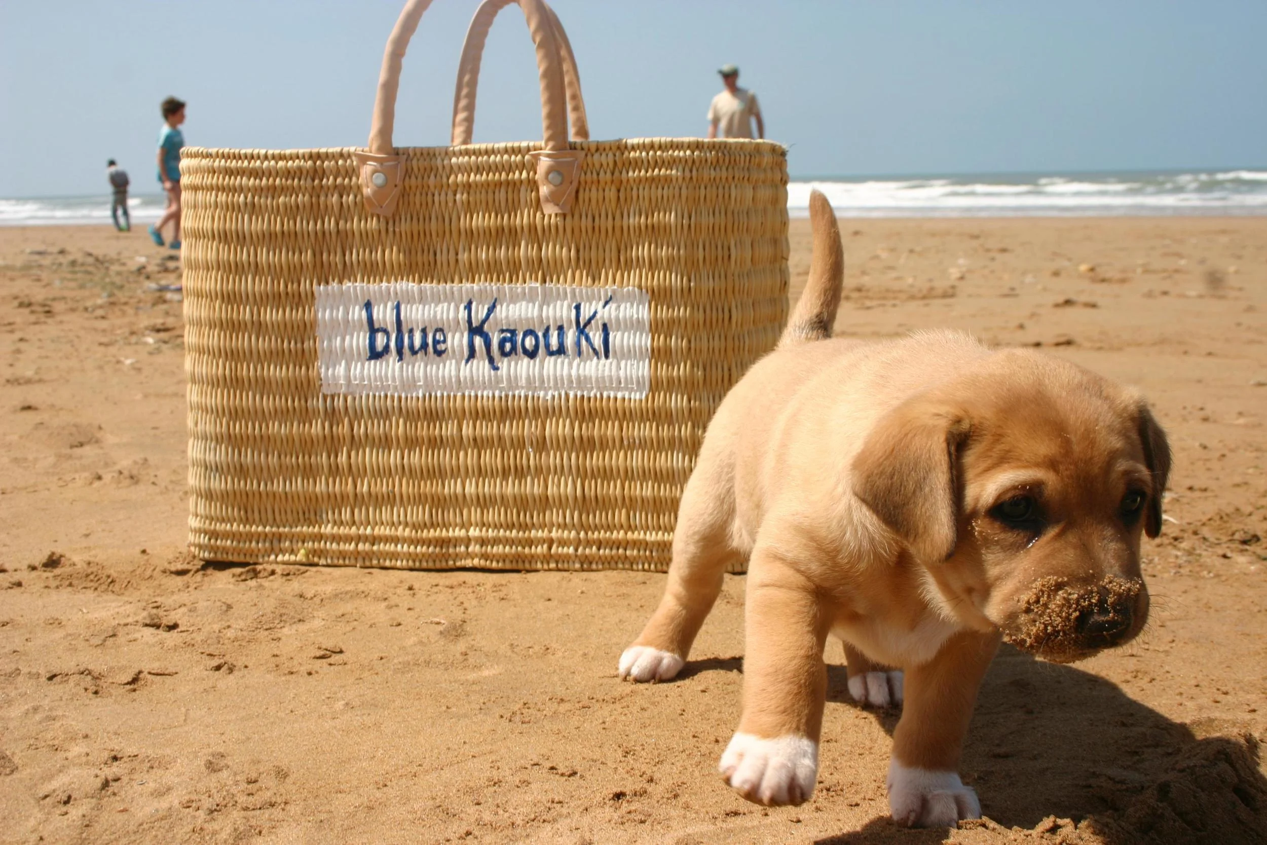 plage.jpg