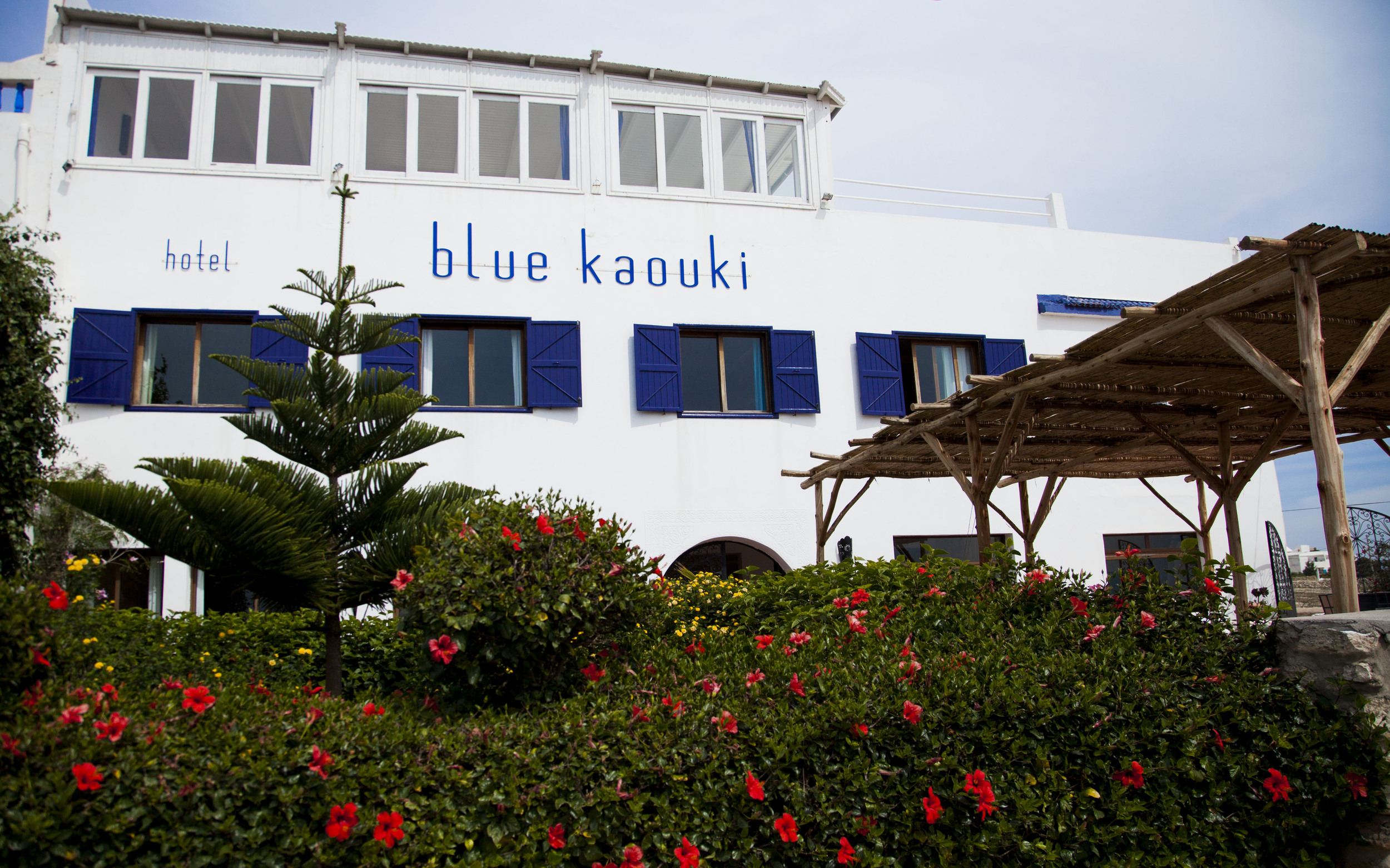 bluekaouki façade.jpg