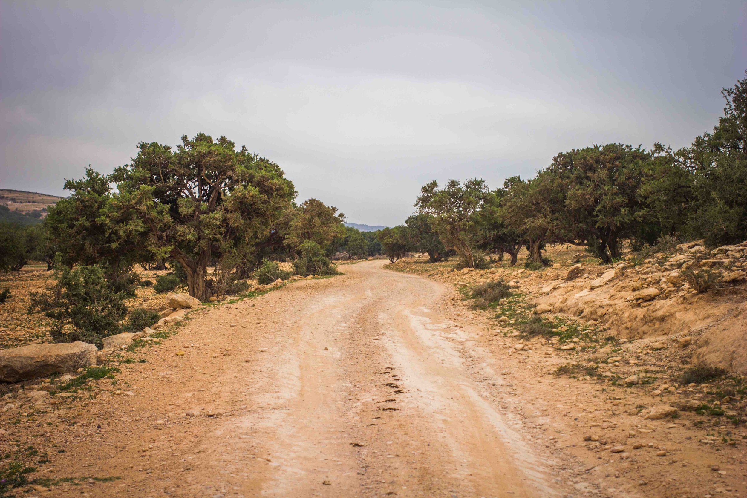 Dirtroads Blue Kaouk Hoteli- Sidi Kaouki - Morocco..jpg