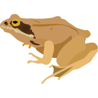 _0002_Toad.jpg