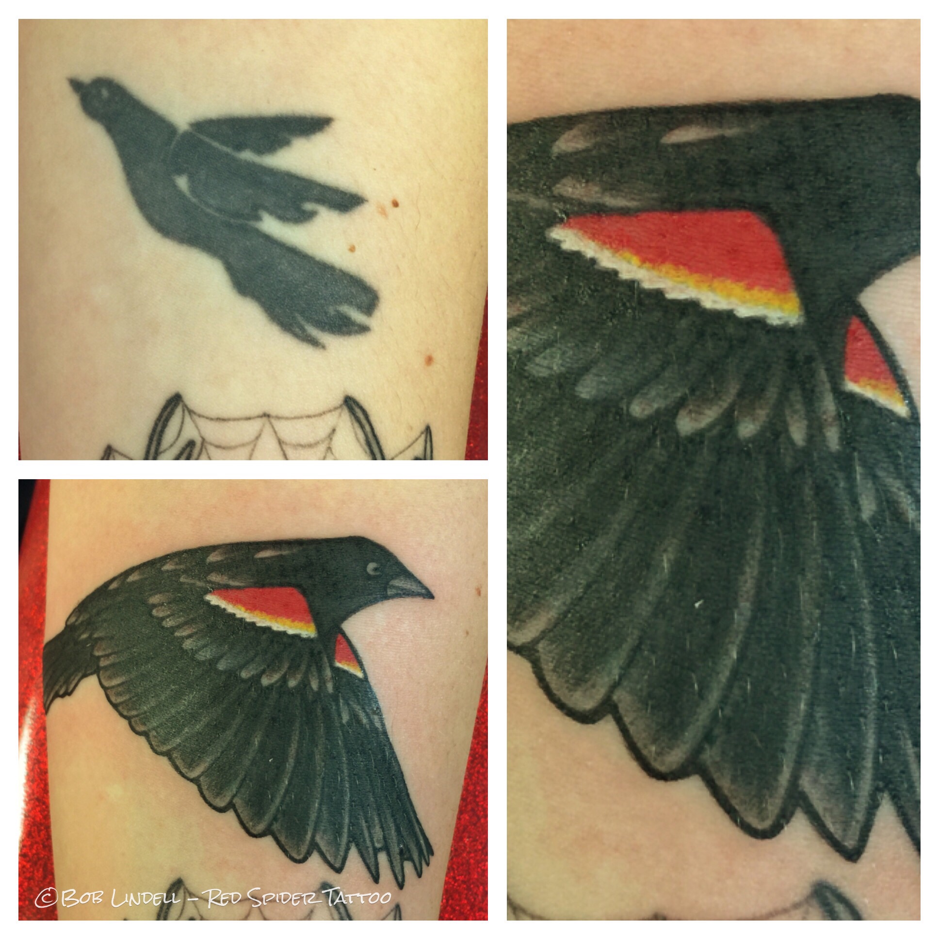 50 Classy Bird Tattoos On Leg