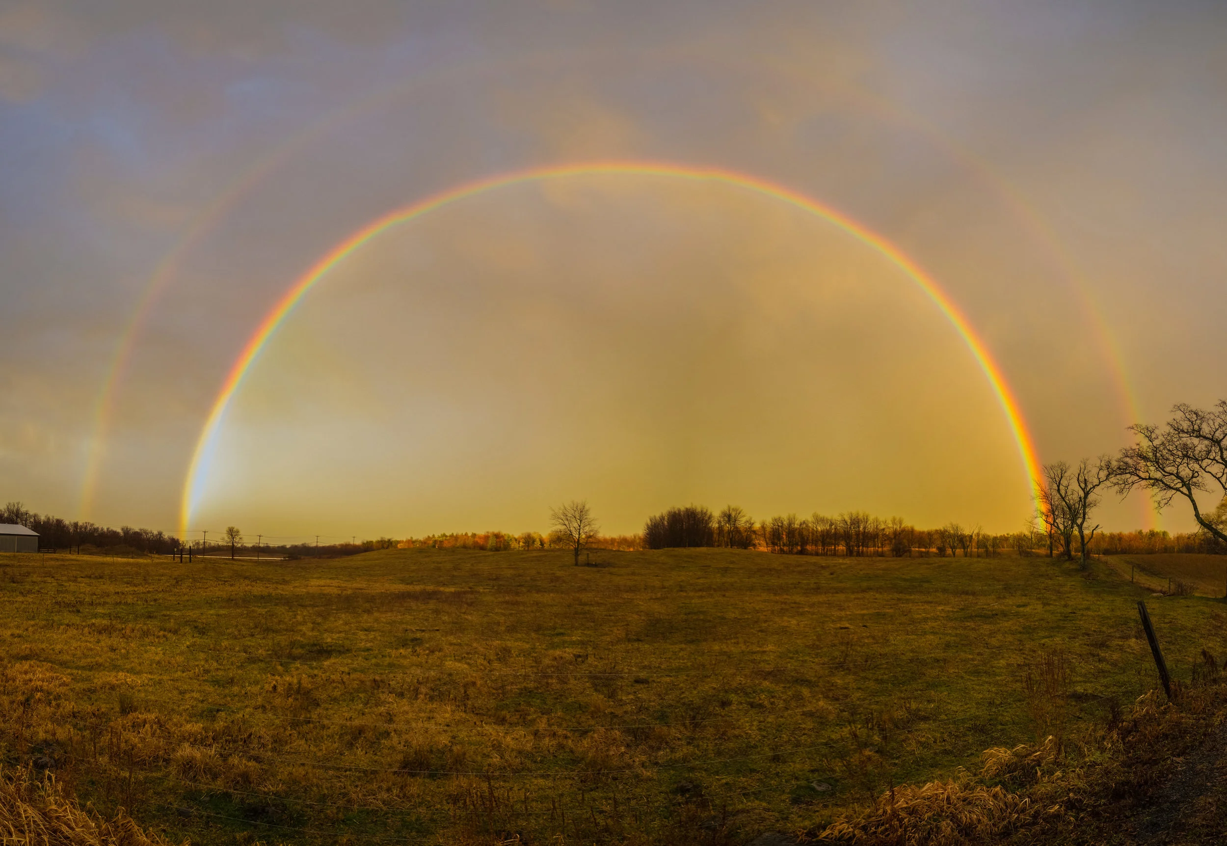IMG_2203-Pano.jpg