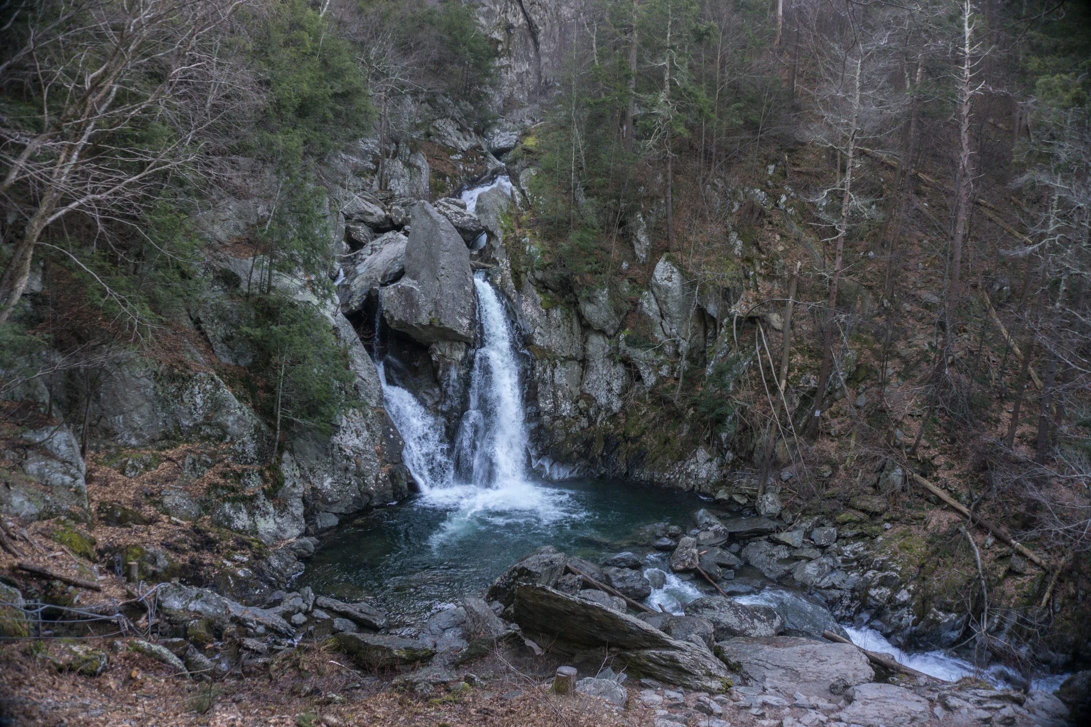 1-3.jpg