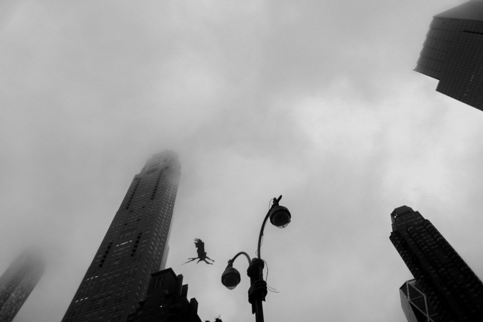 DSC00891.jpg